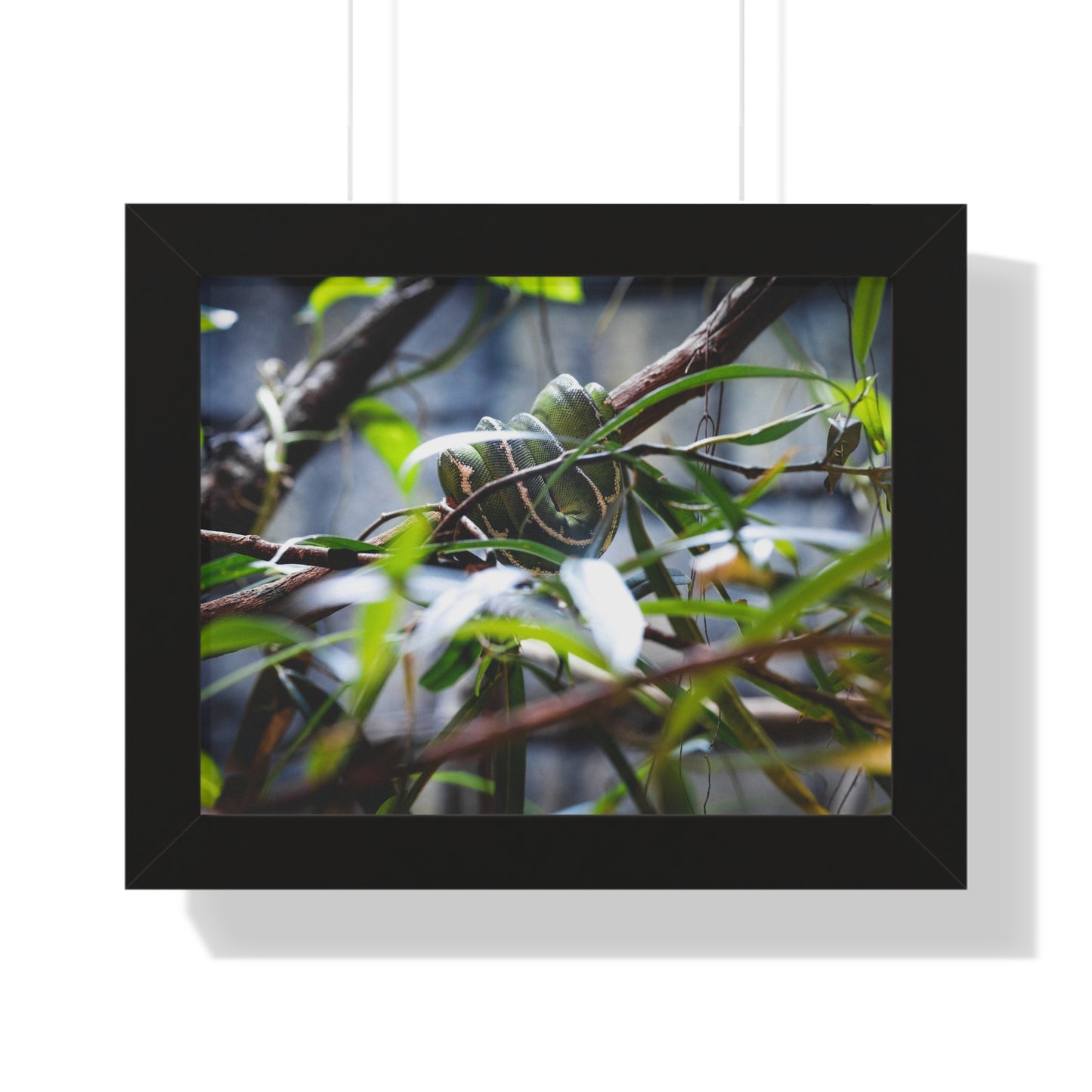 Hidden Beauty: A Serpent Amongst the Foliage - Framed Photography Print