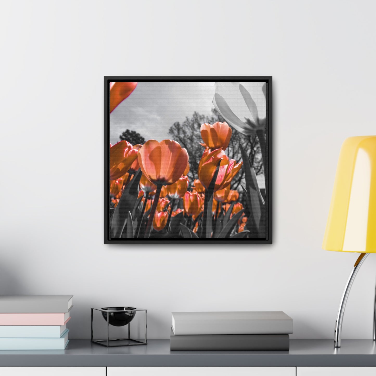 Radiant Peach Tulips at Cheekwood Gardens - Framed Canvas Print