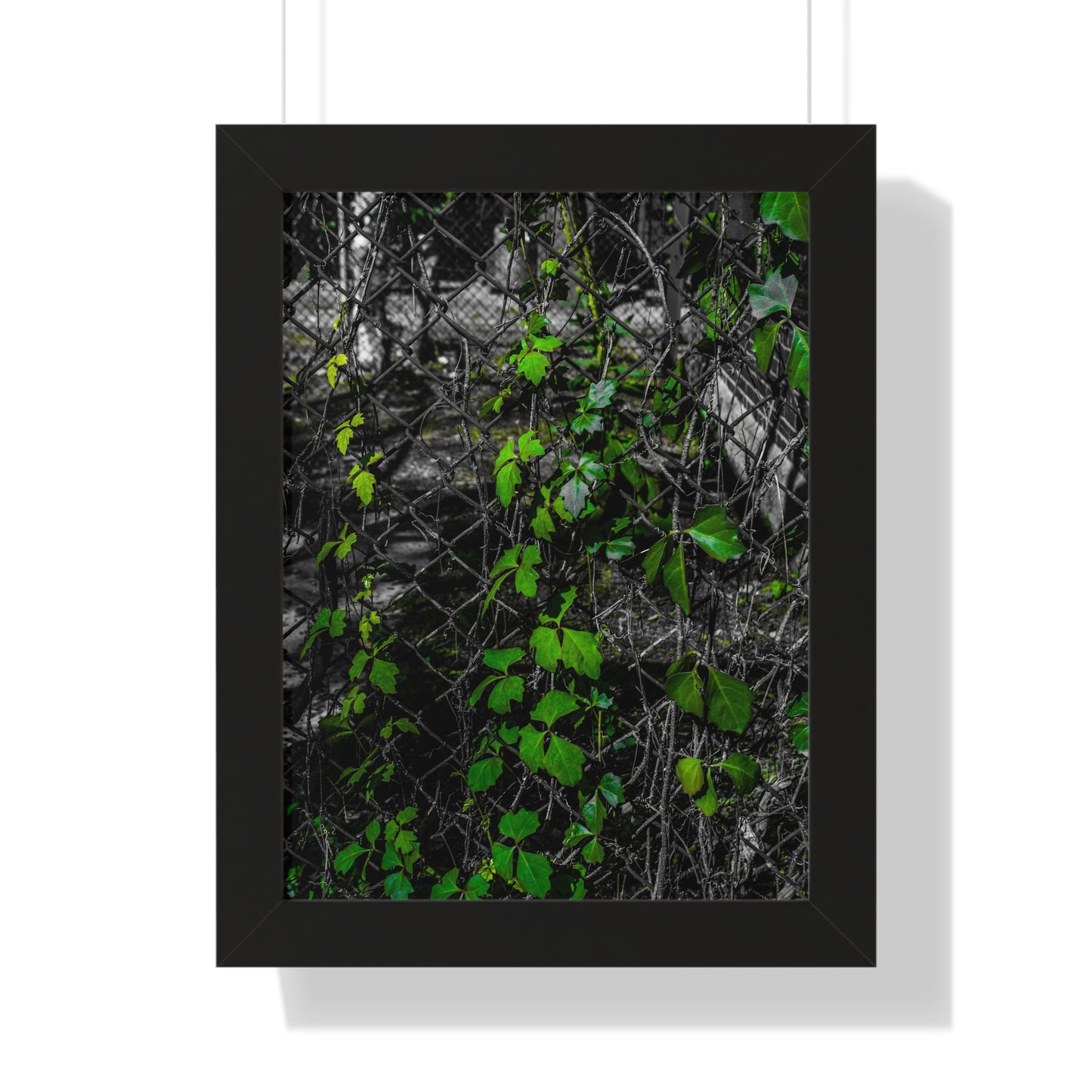 Sloss Furnaces: Vines and Iron - Framed Print
