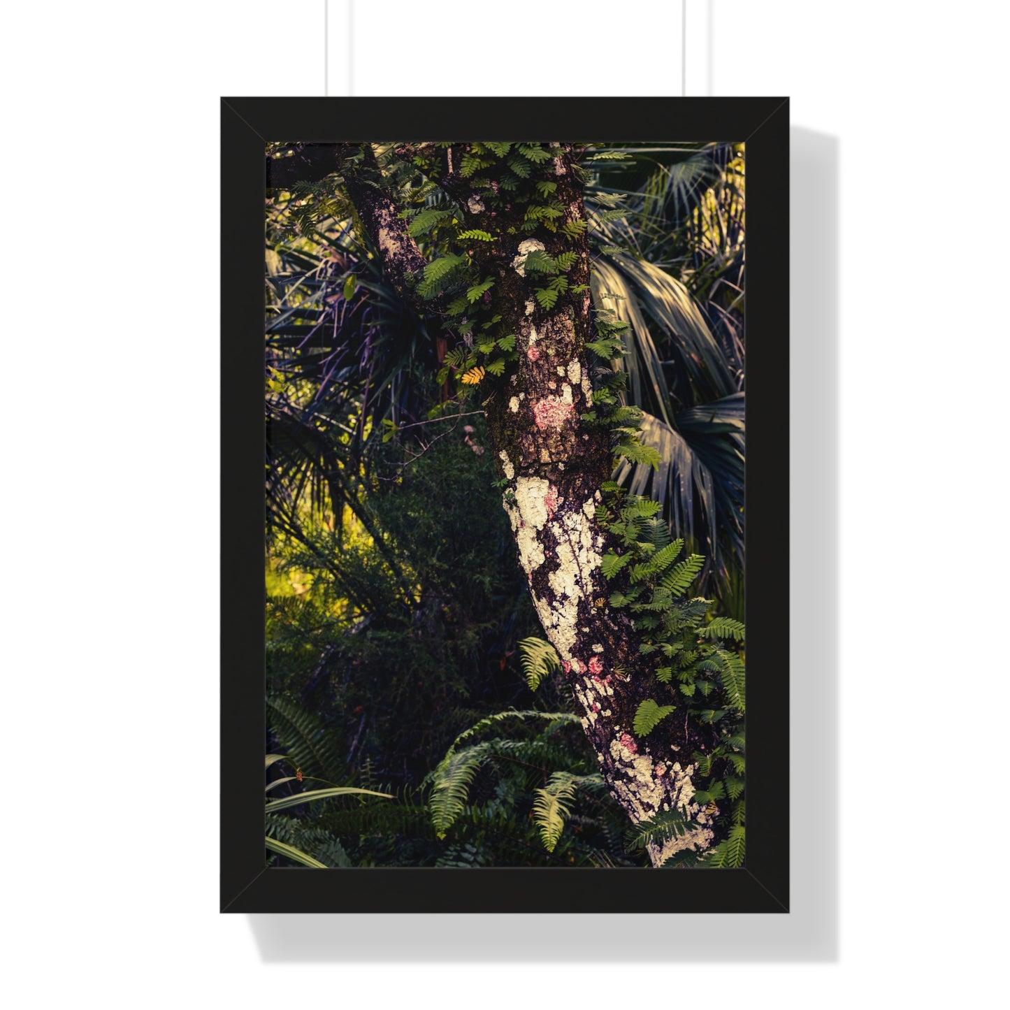 Lush Greenery and Ferns Photography Print
