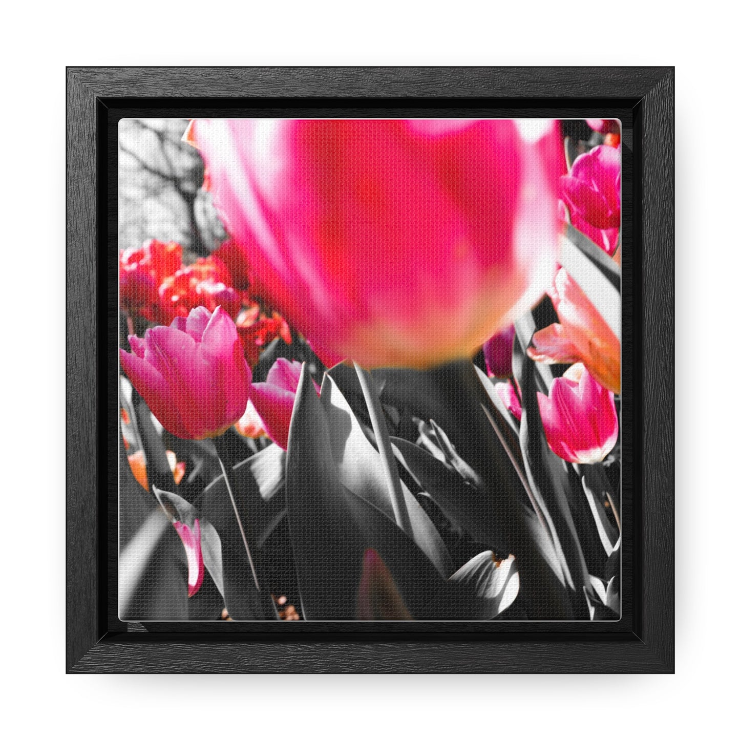 Cheeckwood Gardens Pink Blooms Photography Print