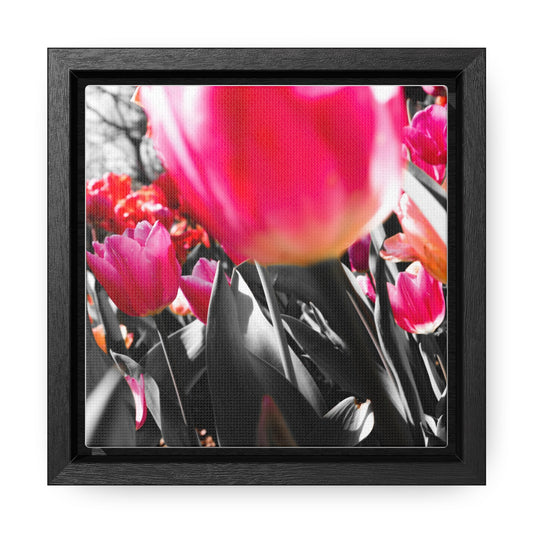 Cheeckwood Gardens Pink Blooms Photography Print