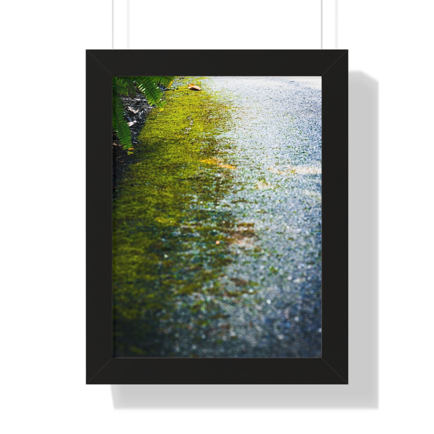 Moss-Covered Pathway Photography Print