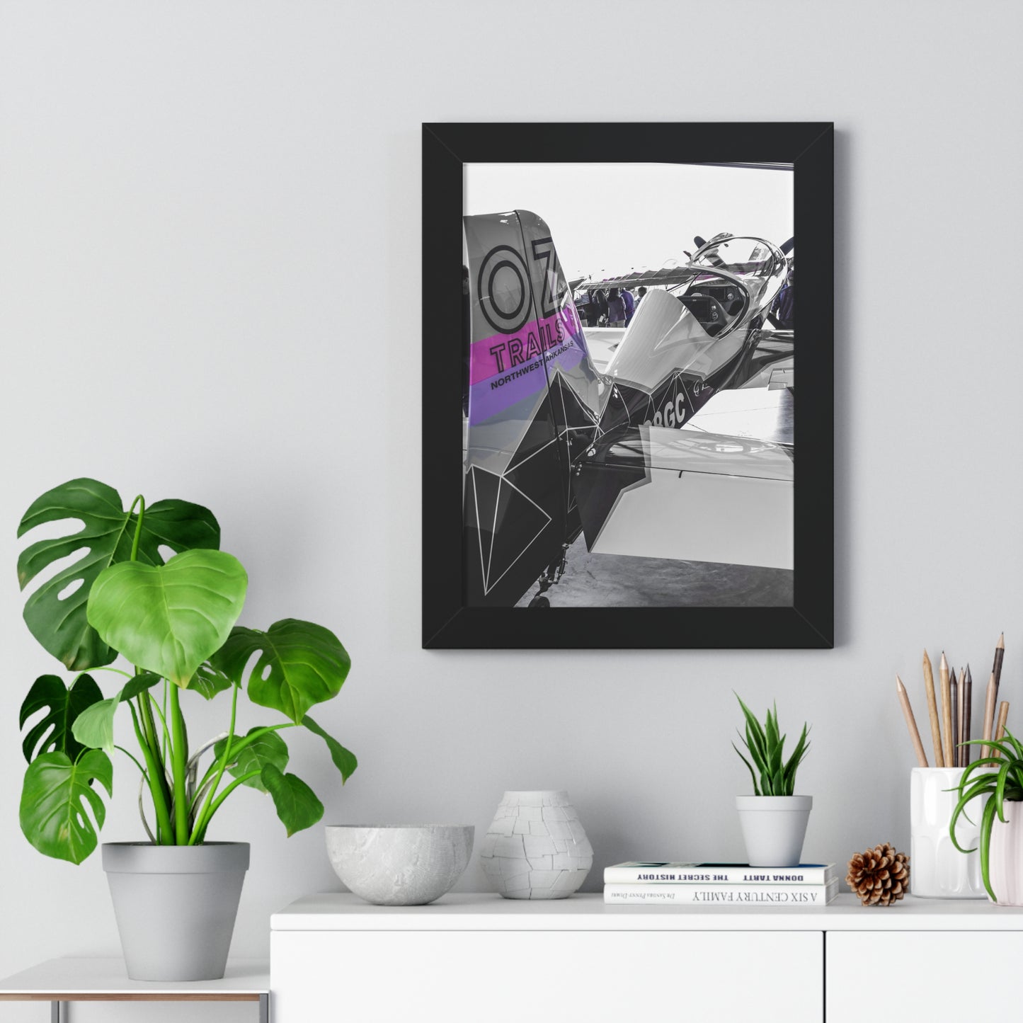 Majesty: Airplane at Texas Aviation Show - Photography Print