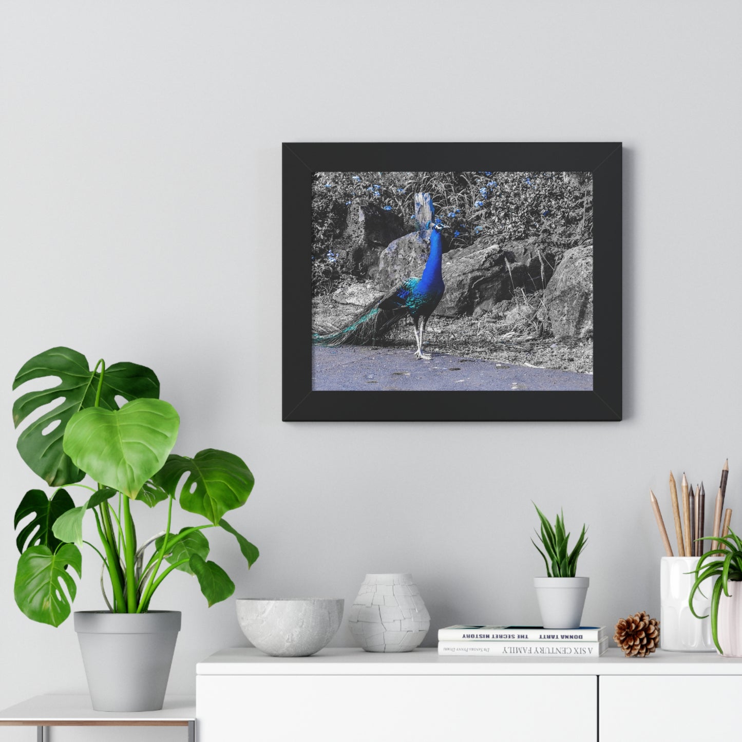 Majestic Peacock: Tropical Stroll in Hawaii - Framed Photography Print