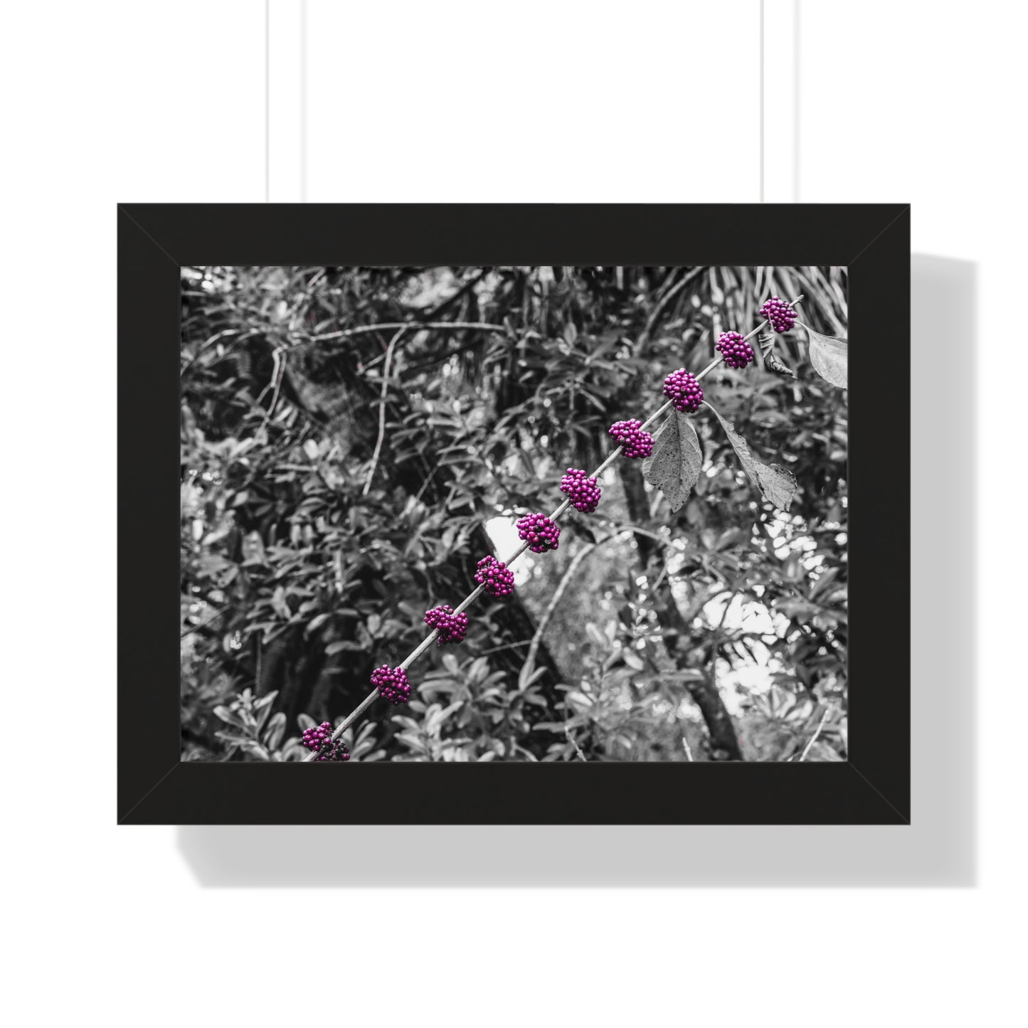 Vibrant Purple Berries Photography Print