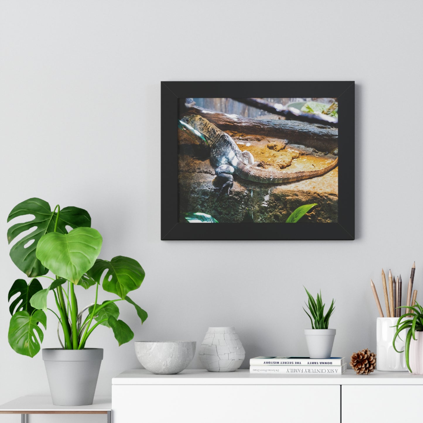 Sunlit Repose: A Lizard in Its Habitat - Framed Photography Print