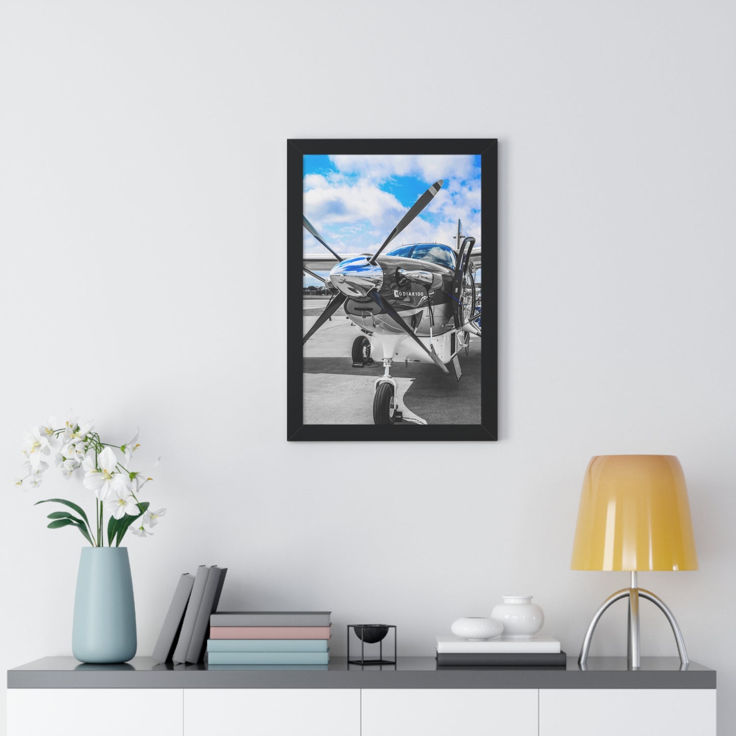 Kodiak Majesty: Airplane - Framed Photography Print