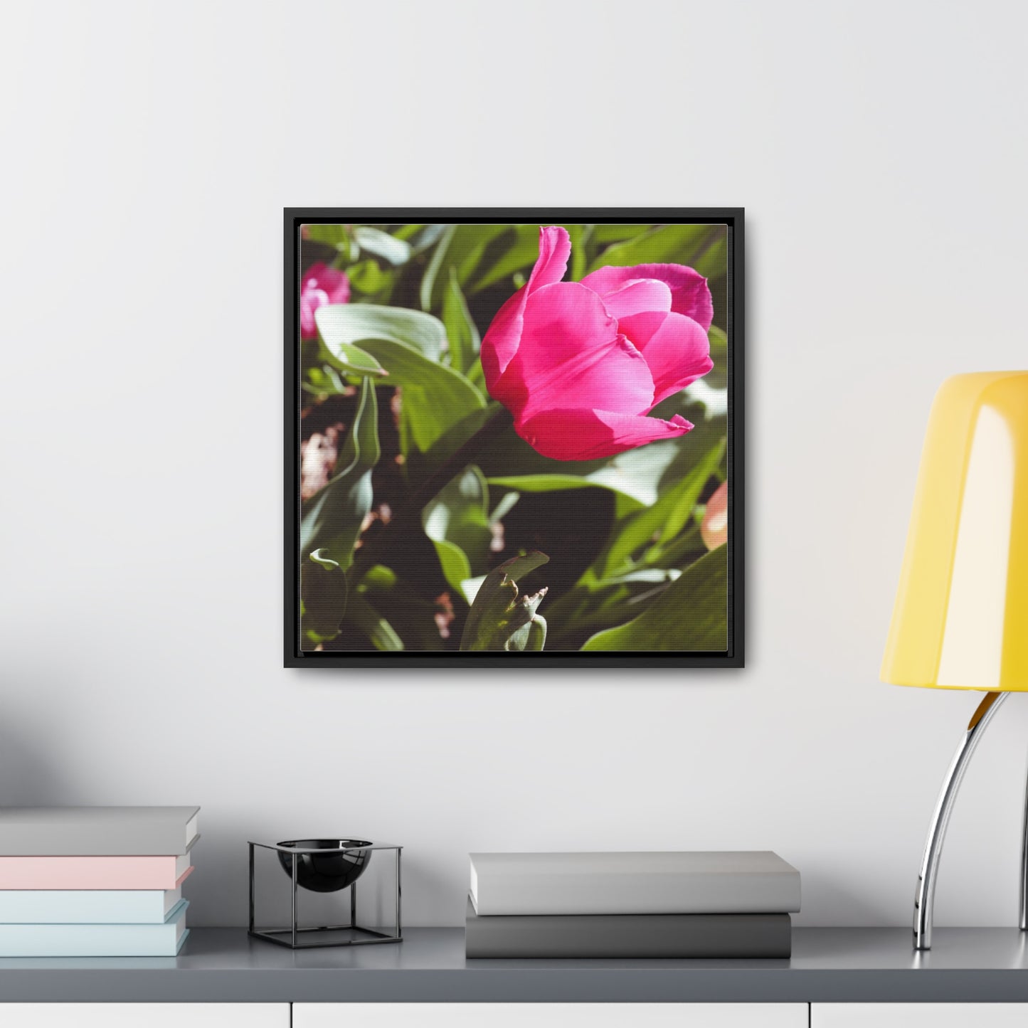 Elegant Pink Tulip at Cheekwood Gardens - Framed Canvas Prin