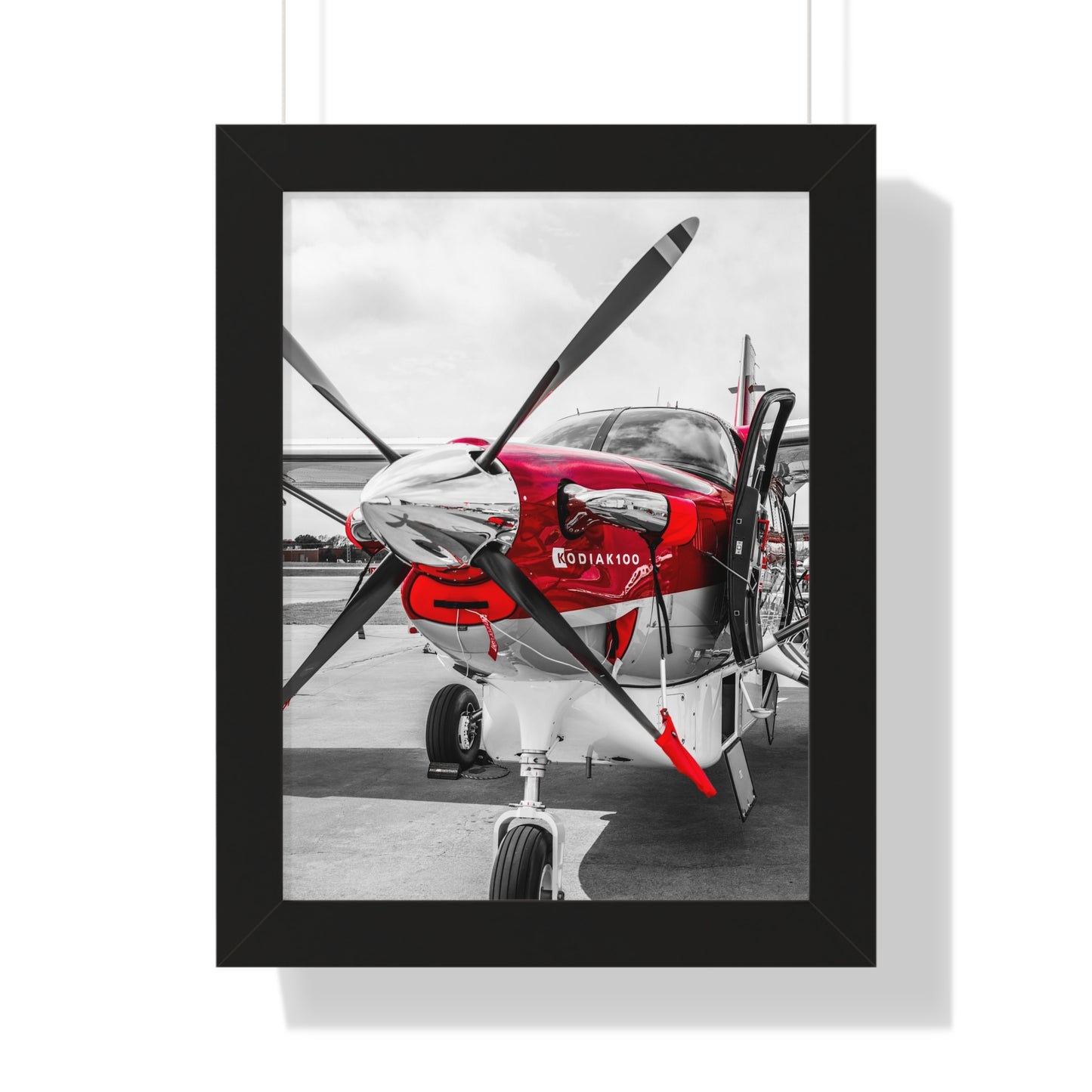 Propeller Power: Kodiak Aircraft Detail - Framed Photography Print