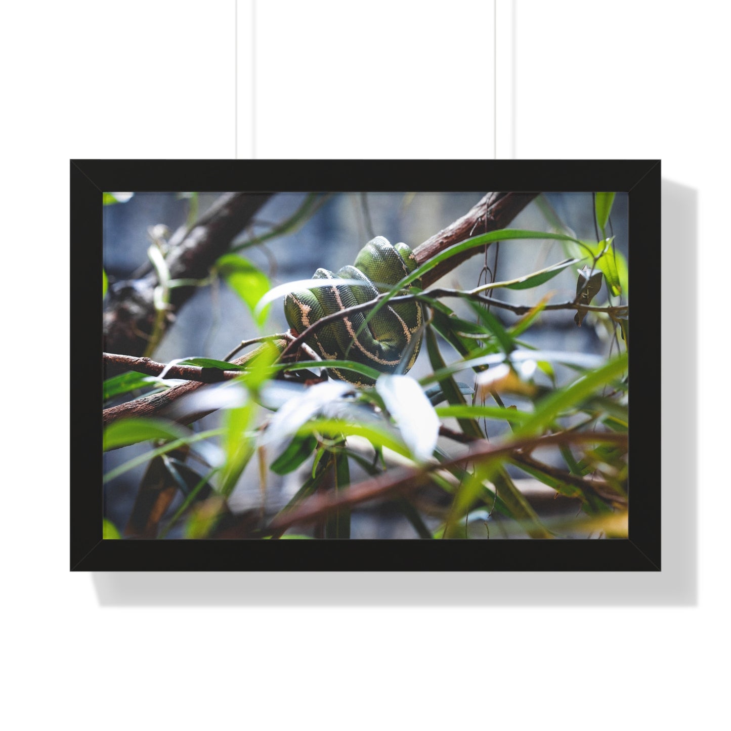 Hidden Beauty: A Serpent Amongst the Foliage - Framed Photography Print