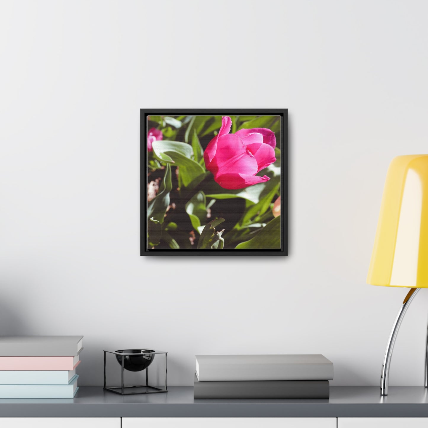 Elegant Pink Tulip at Cheekwood Gardens - Framed Canvas Prin
