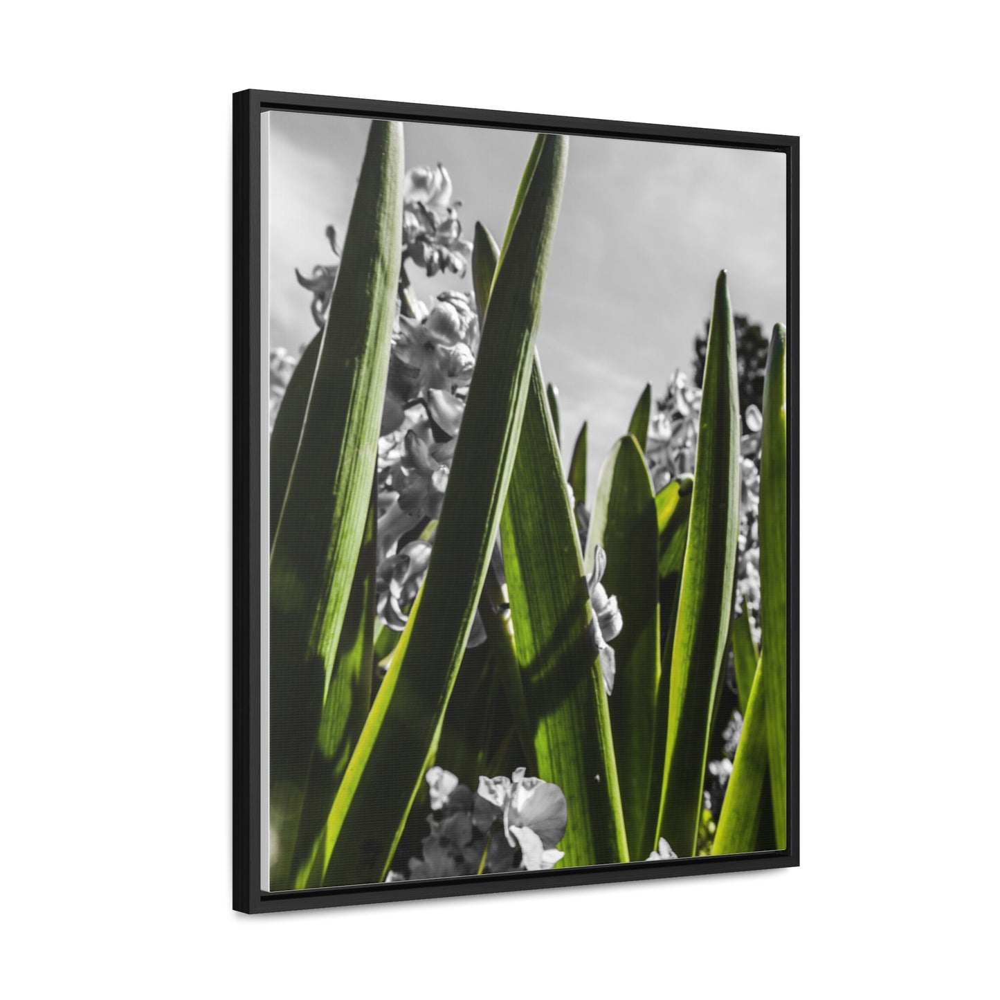 Cheekwood Gardens Green Stems Home Décor Photography Print