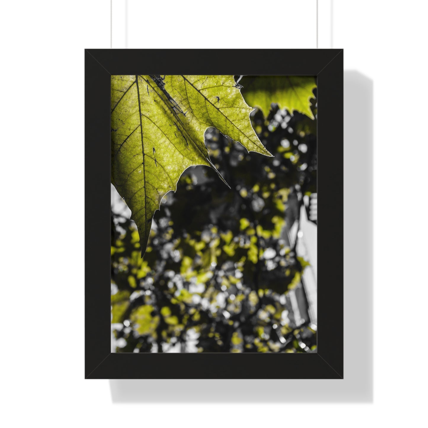 Sloss Furnaces: Nature's Embrace - Close-Up of Leaves - Framed Print