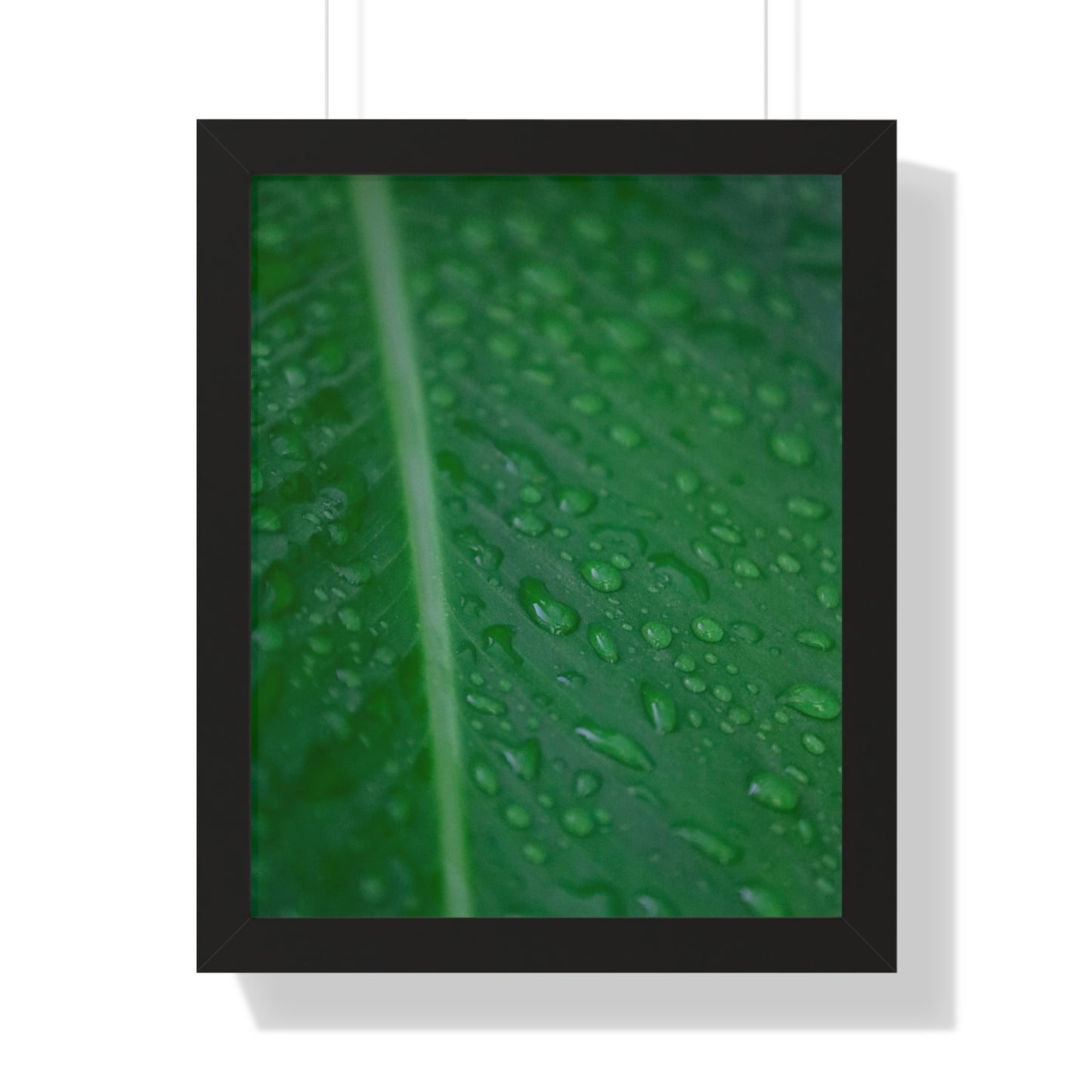 Nature's Detail:  Leaf with Water Drops - Framed Photography Print