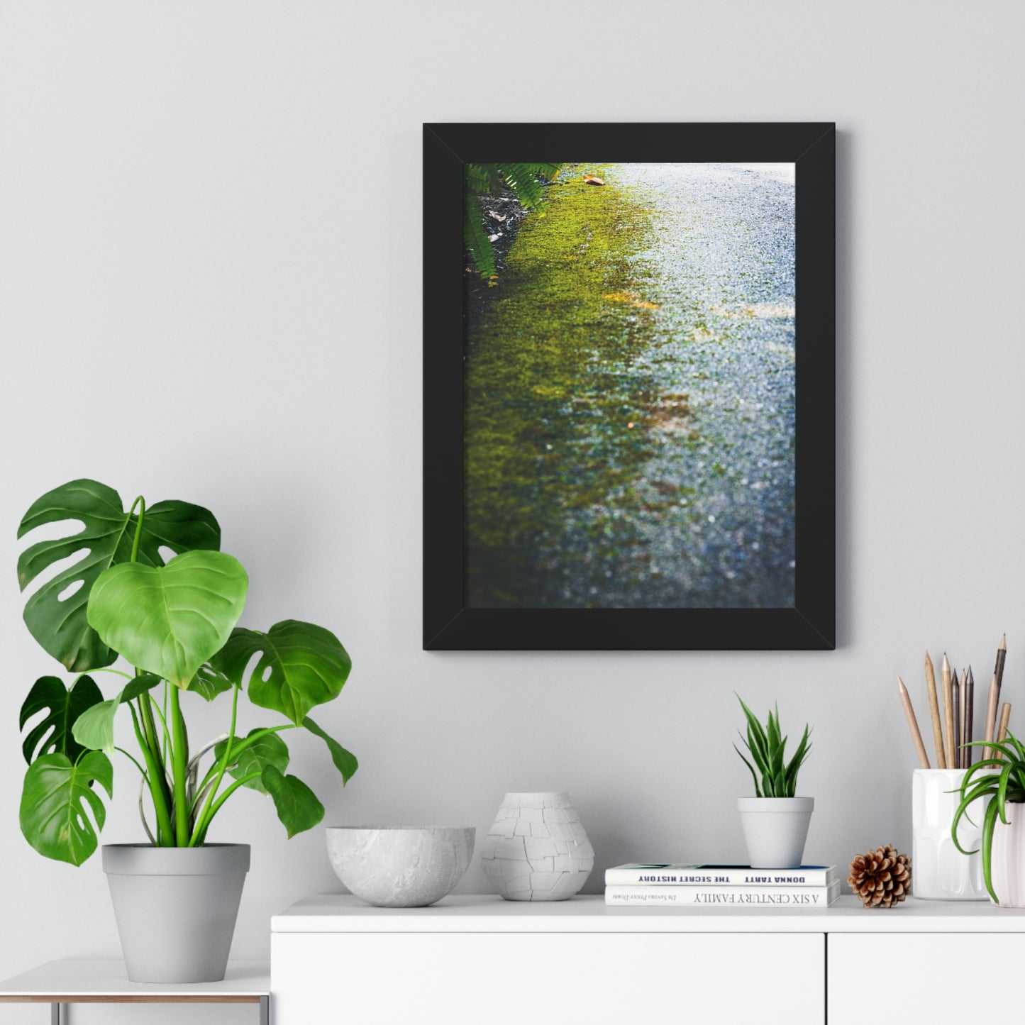 Moss-Covered Pathway Photography Print