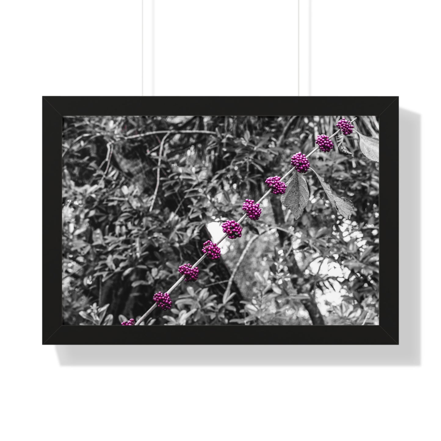 Vibrant Purple Berries Photography Print