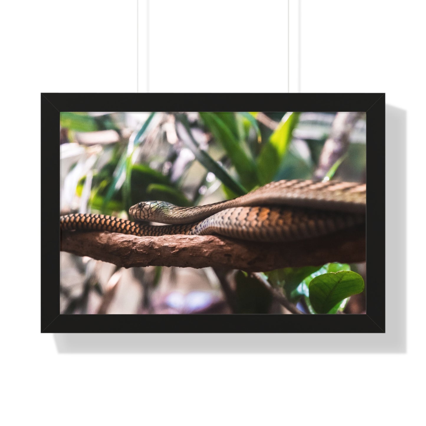 Serpentine Grace: A Snake Among the Foliage - Framed Photography Print