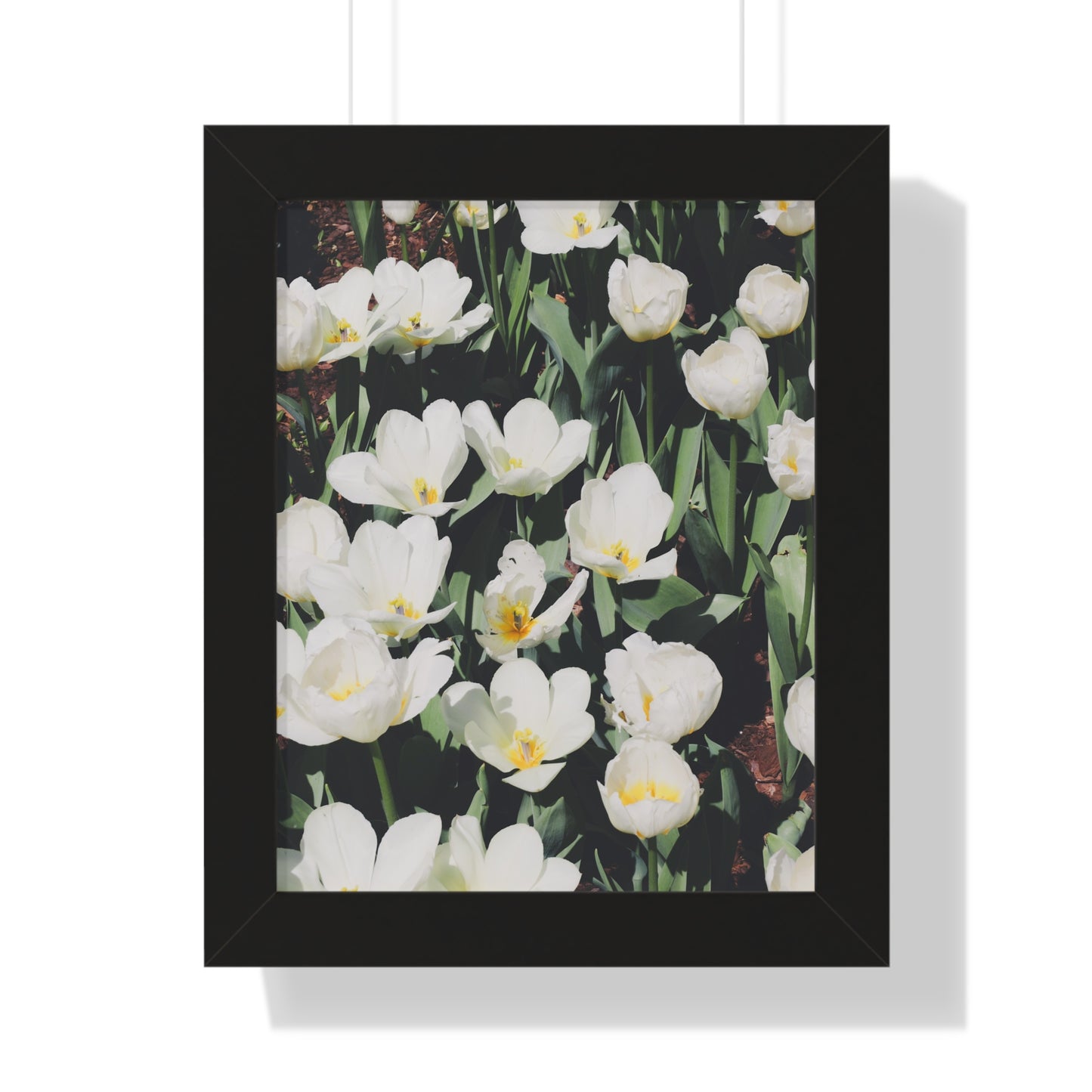 Elegant White Flowers at Cheekwood Gardens - Framed Print