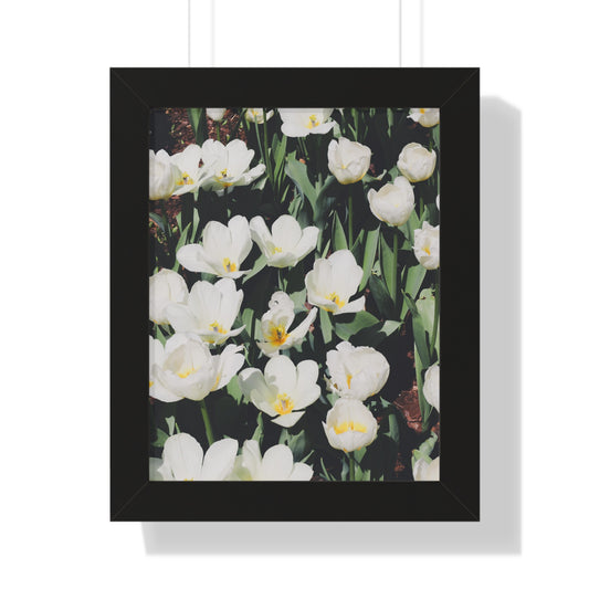 Elegant White Flowers at Cheekwood Gardens - Framed Print