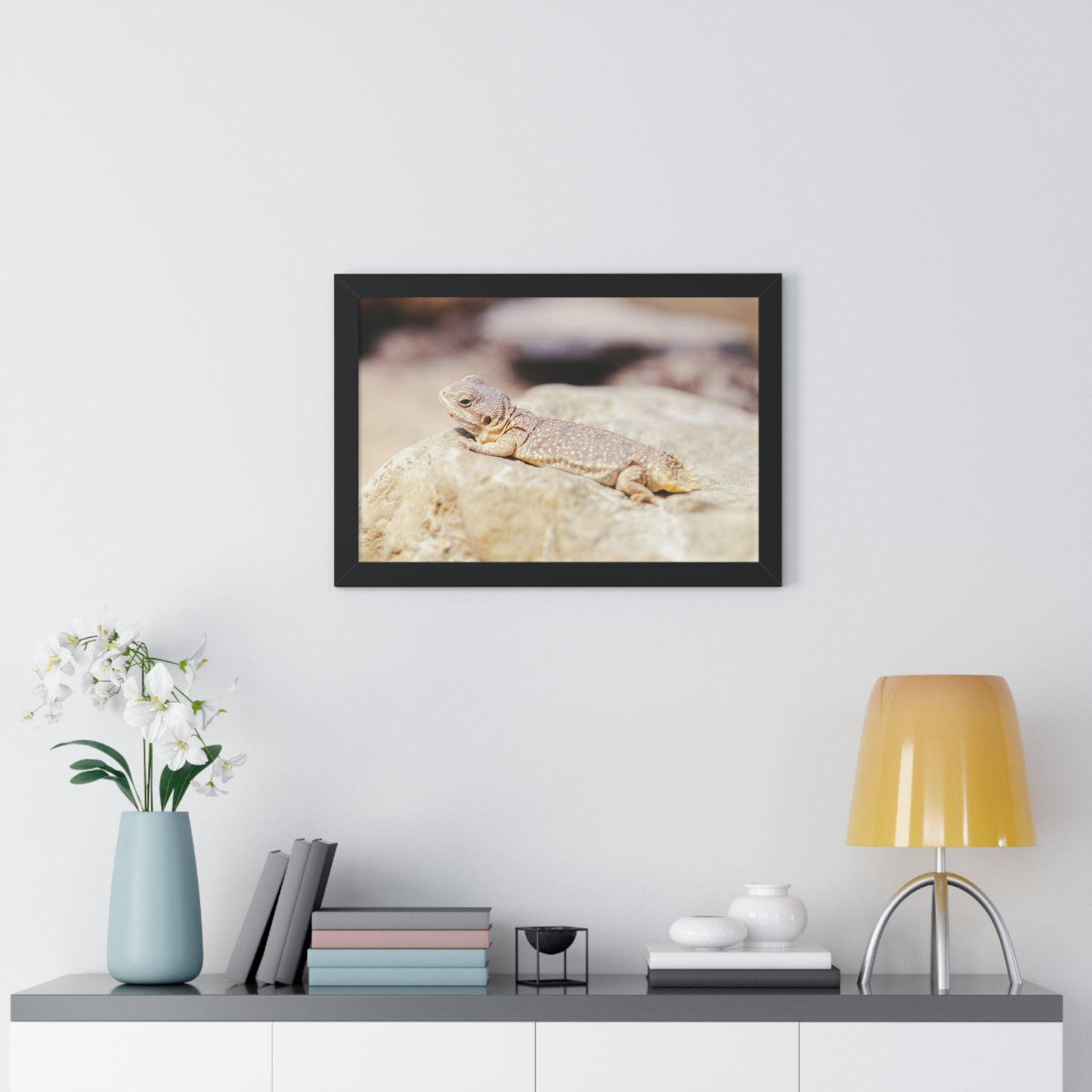 Sun-Kissed Serenity: A Lizard on a Rock - Framed Photography Print