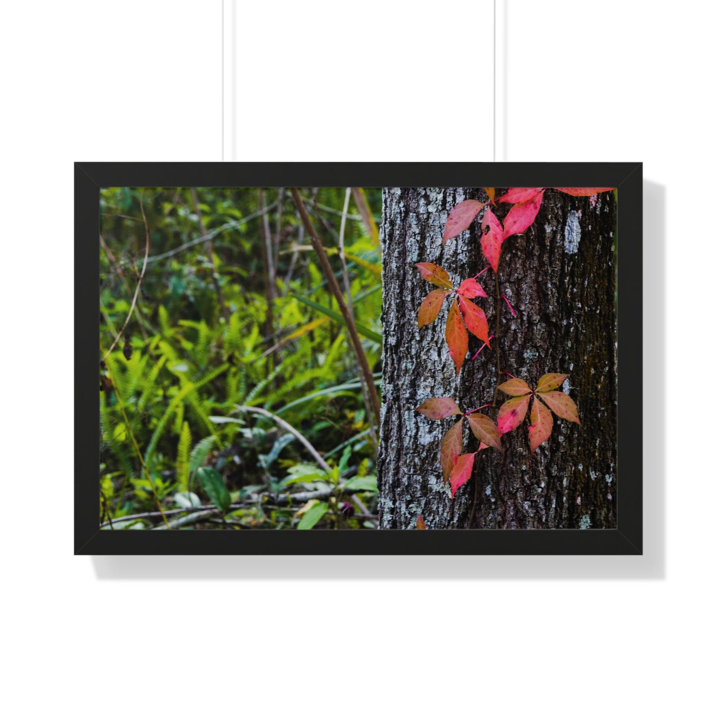 Autumn Leaves on Tree Trunk Photography Print