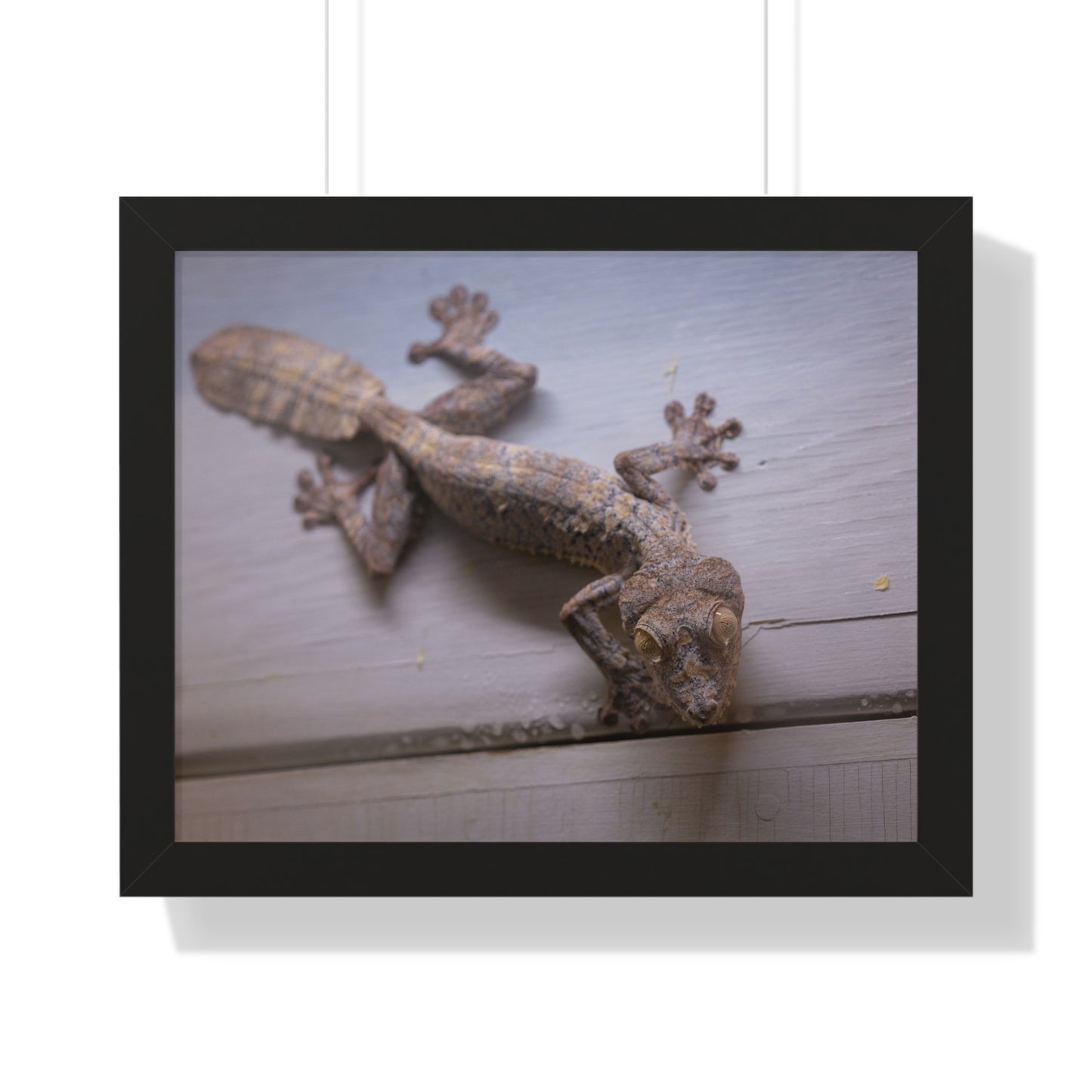Nature's Camouflage: A Gecko at Rest - Framed Photography Print