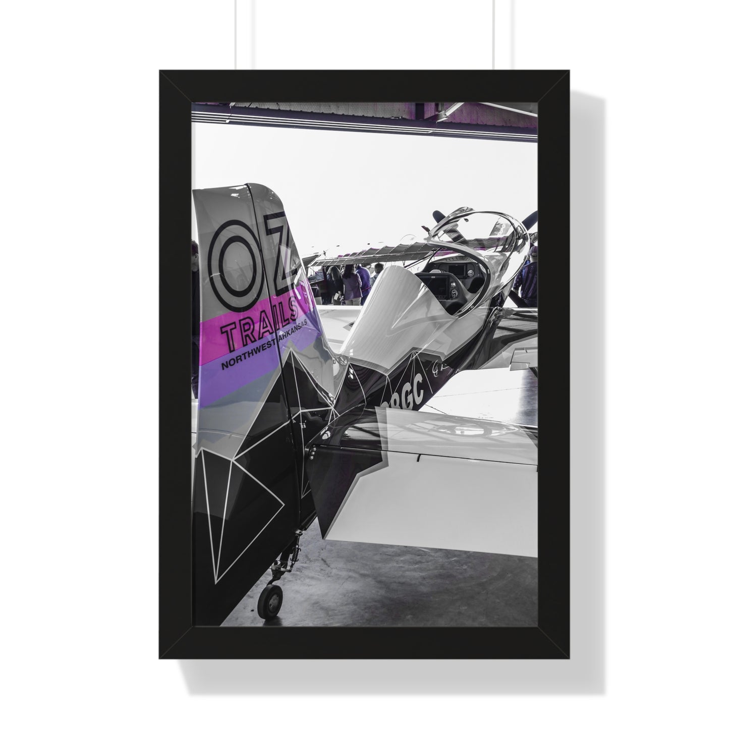 Majesty: Airplane at Texas Aviation Show - Photography Print