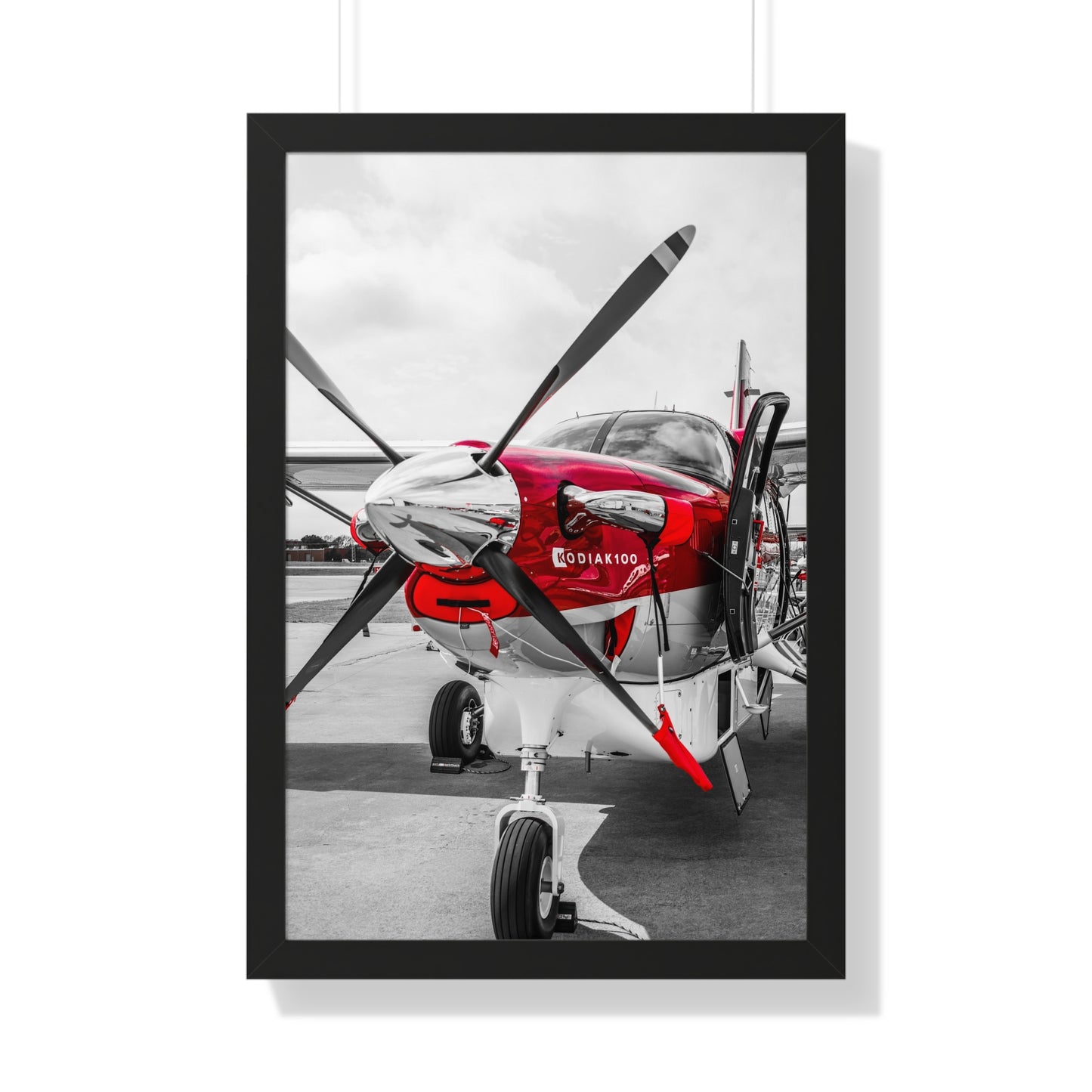 Propeller Power: Kodiak Aircraft Detail - Framed Photography Print