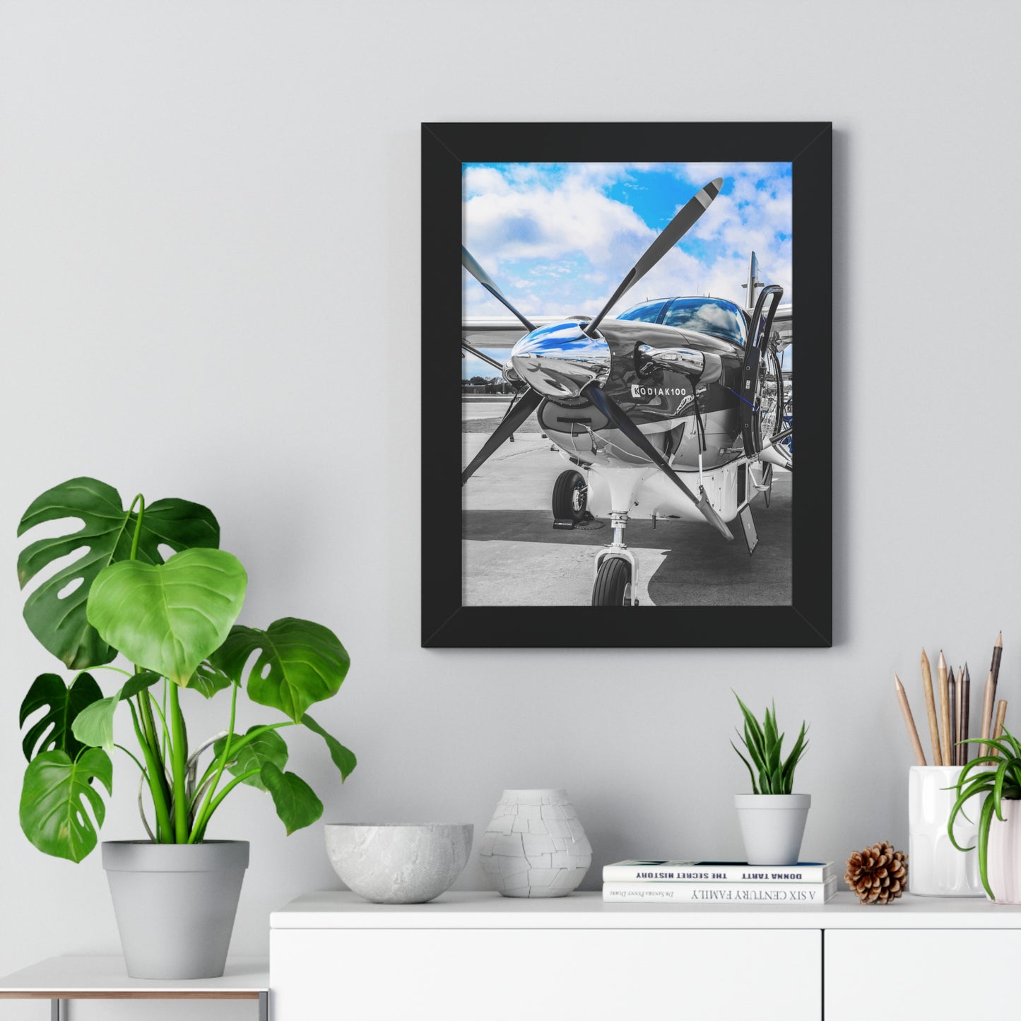 Kodiak Majesty: Airplane - Framed Photography Print