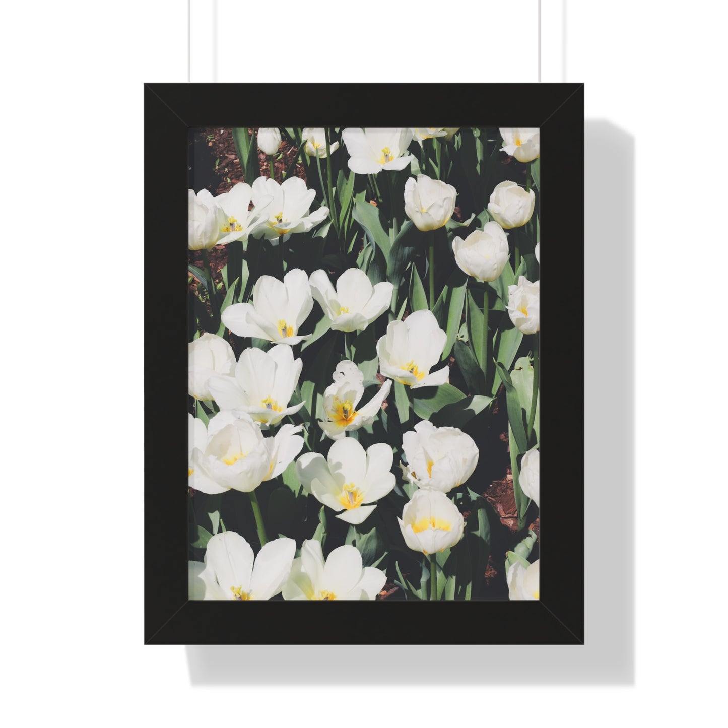 Elegant White Flowers at Cheekwood Gardens - Framed Print
