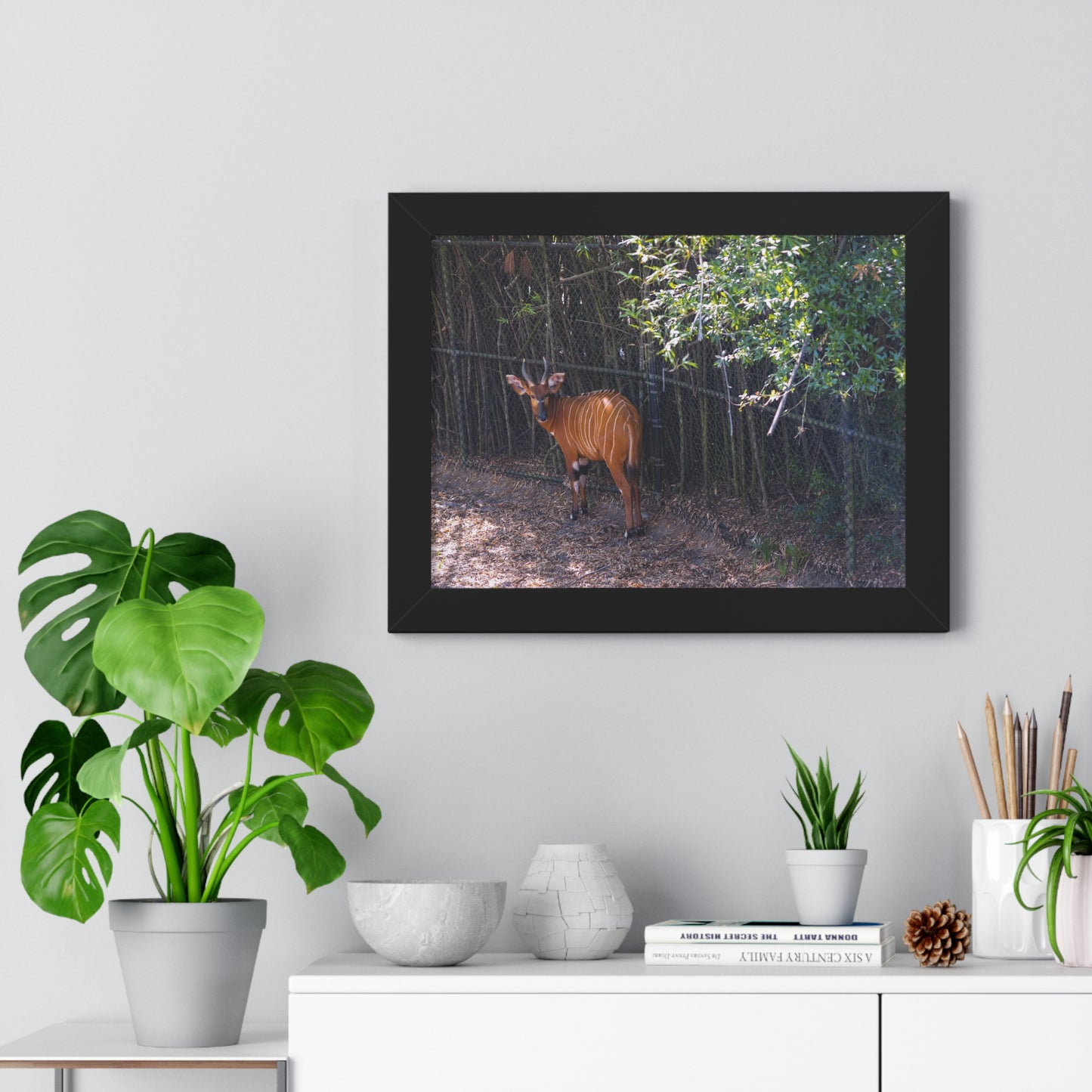 Graceful Presence: A Bongo  - Framed Photography Print