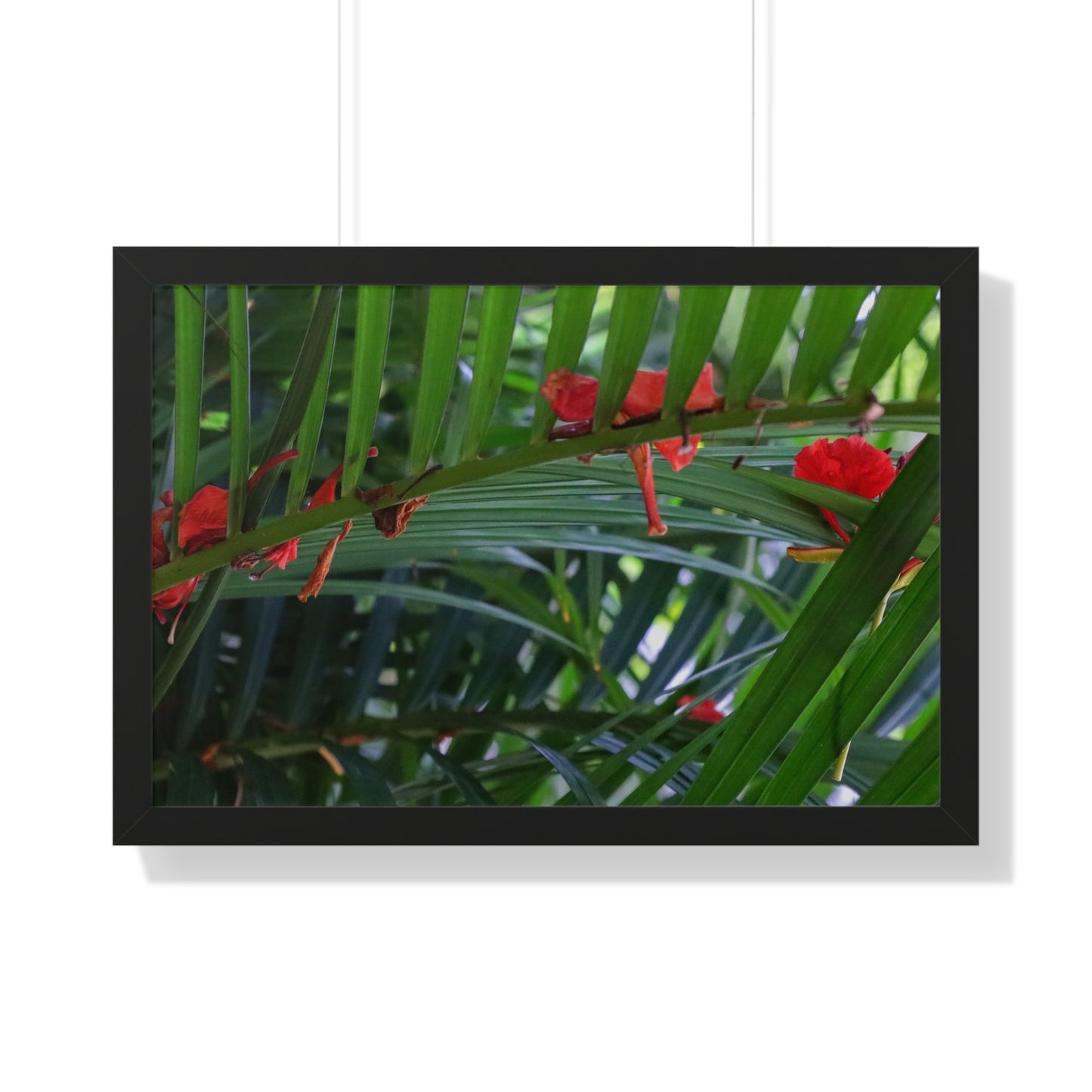 Serene Tropics: Vibrant Plant at Sandals Resort - Framed Photography Print