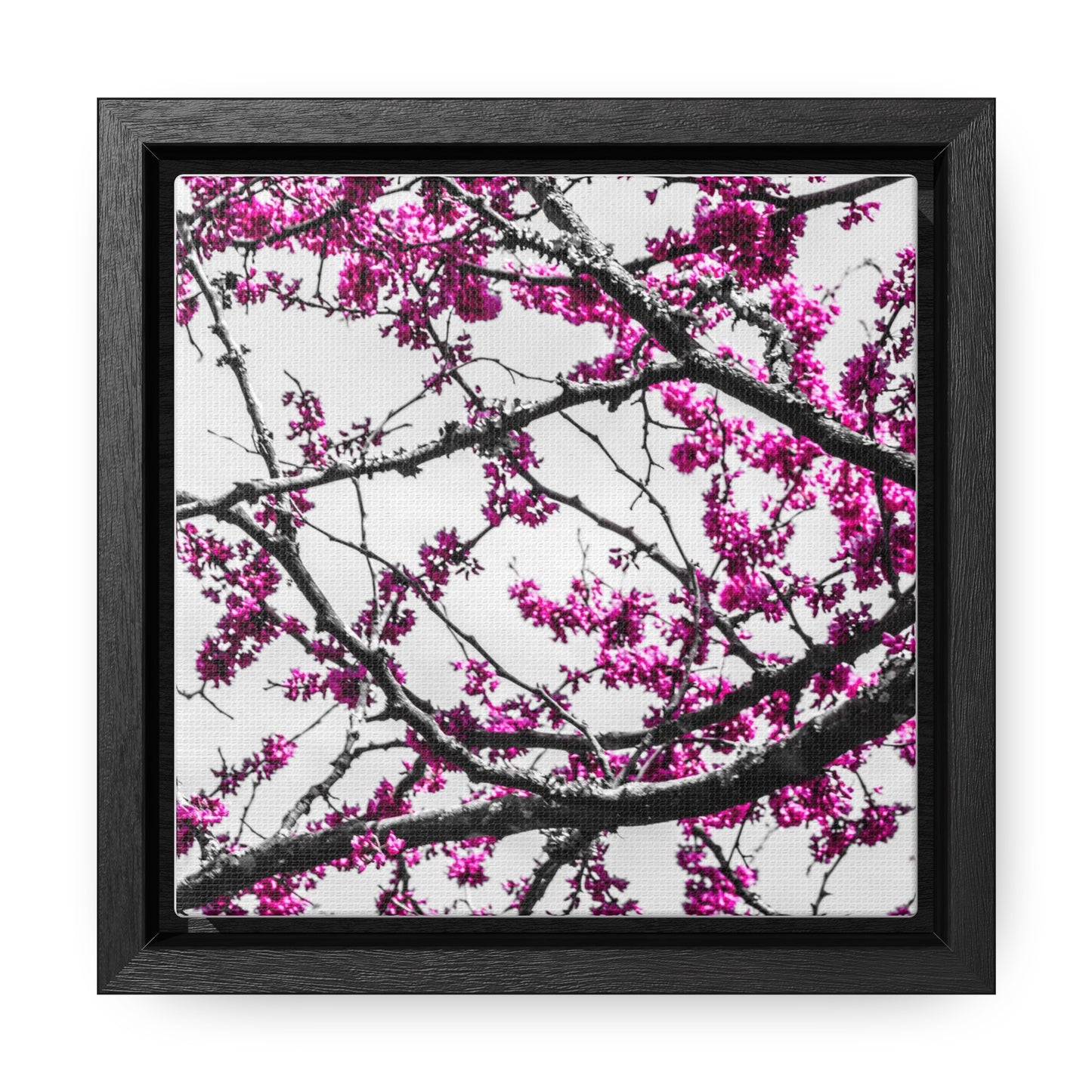 Cheekwood Gardens Land of Purple Home Décor