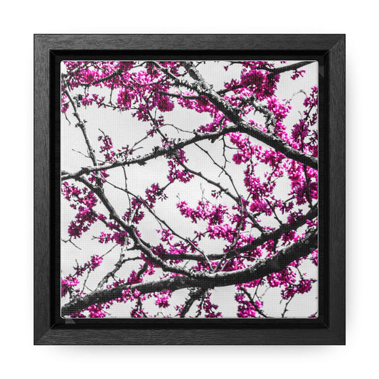 Cheekwood Gardens Land of Purple Home Décor