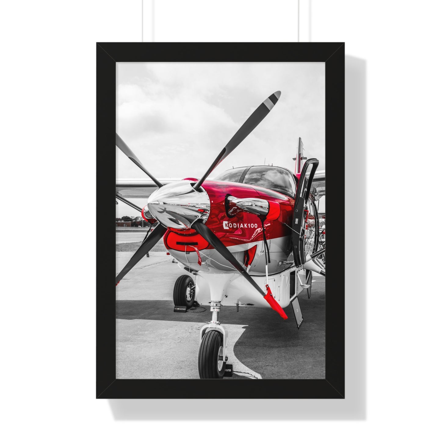 Propeller Power: Kodiak Aircraft Detail - Framed Photography Print
