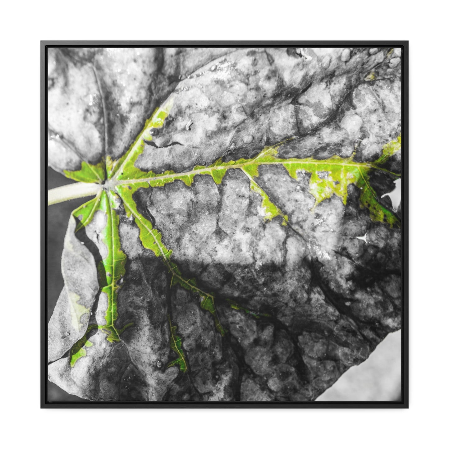 Sloss Furnaces: Fallen Leaf - Canvas Print