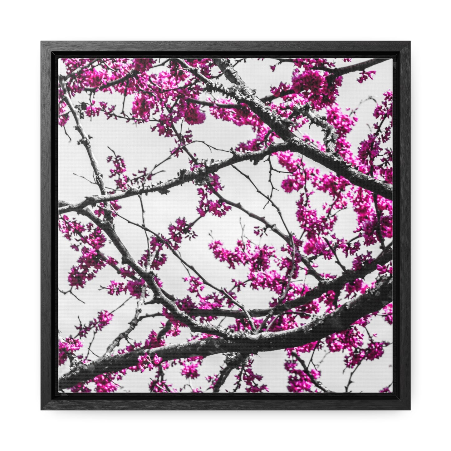 Cheekwood Gardens Land of Purple Home Décor