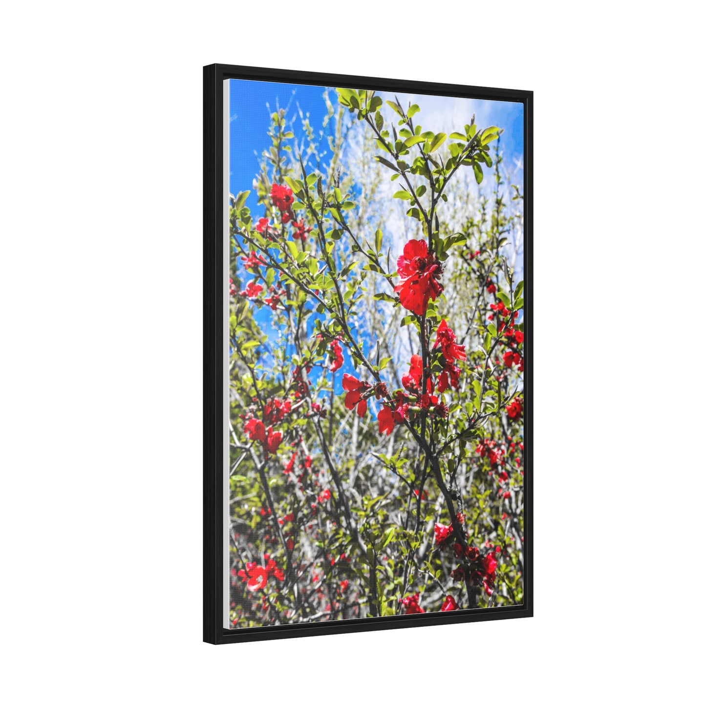Cheekwood Gardens Blue Sky Home Décor Photography Print