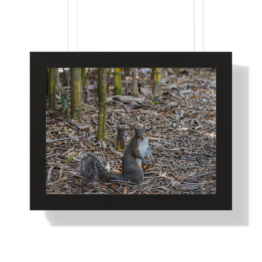 Nature's Forager: A Squirrel Among the Bamboo - Framed Photography Print