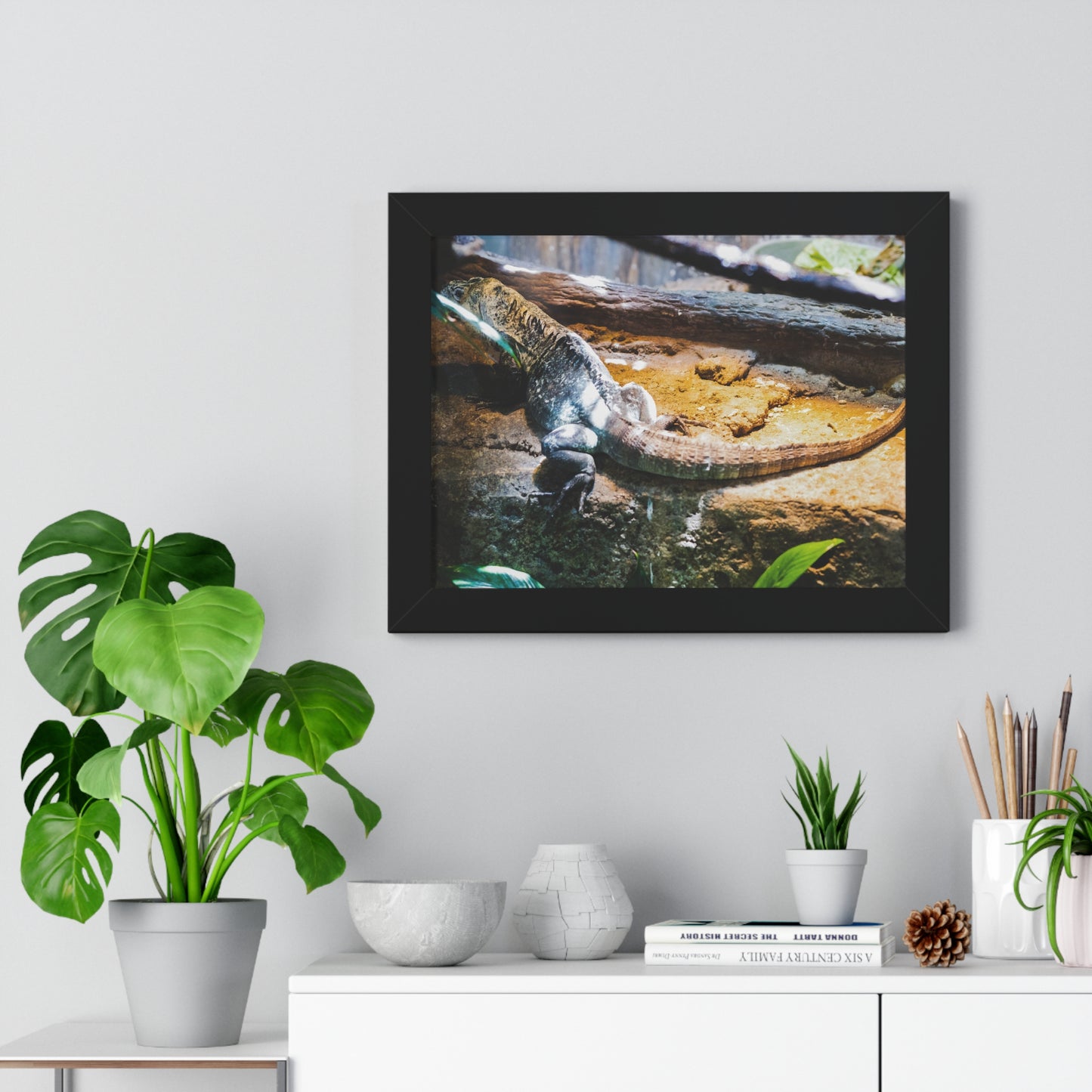 Sunlit Repose: A Lizard in Its Habitat - Framed Photography Print