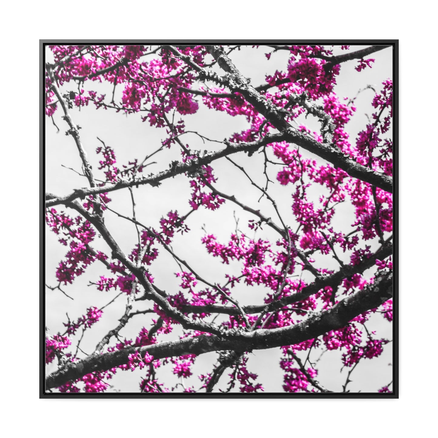 Cheekwood Gardens Land of Purple Home Décor