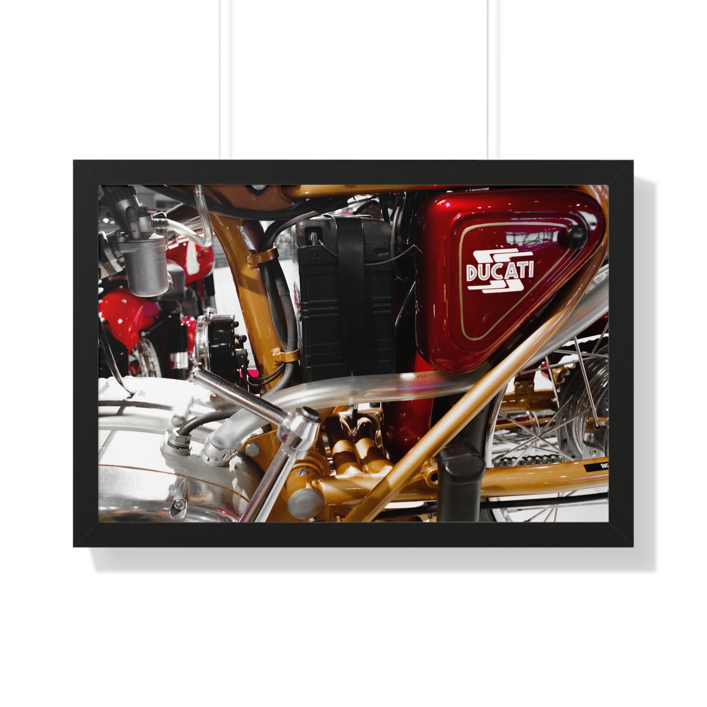 Ducati Motorcycle Photography Wall Art