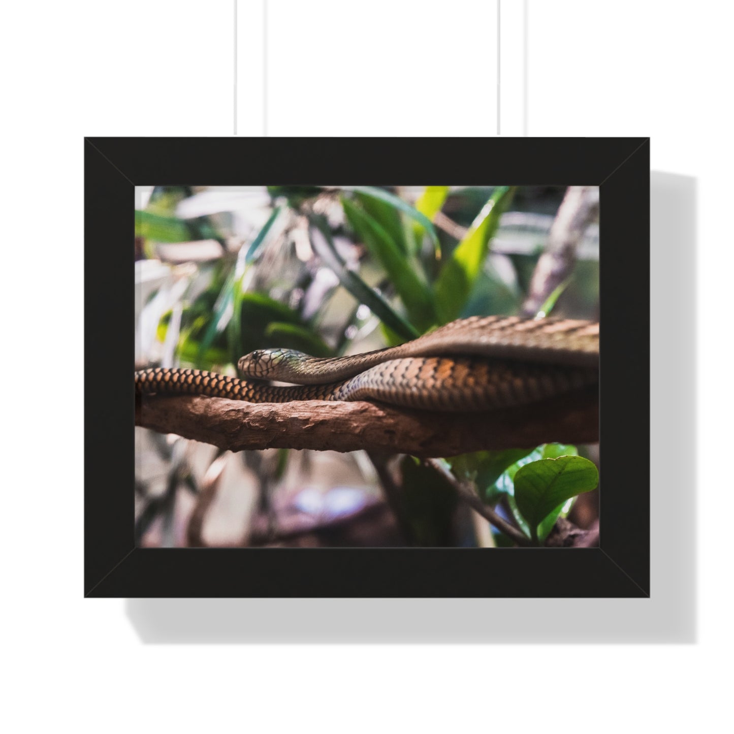 Serpentine Grace: A Snake Among the Foliage - Framed Photography Print