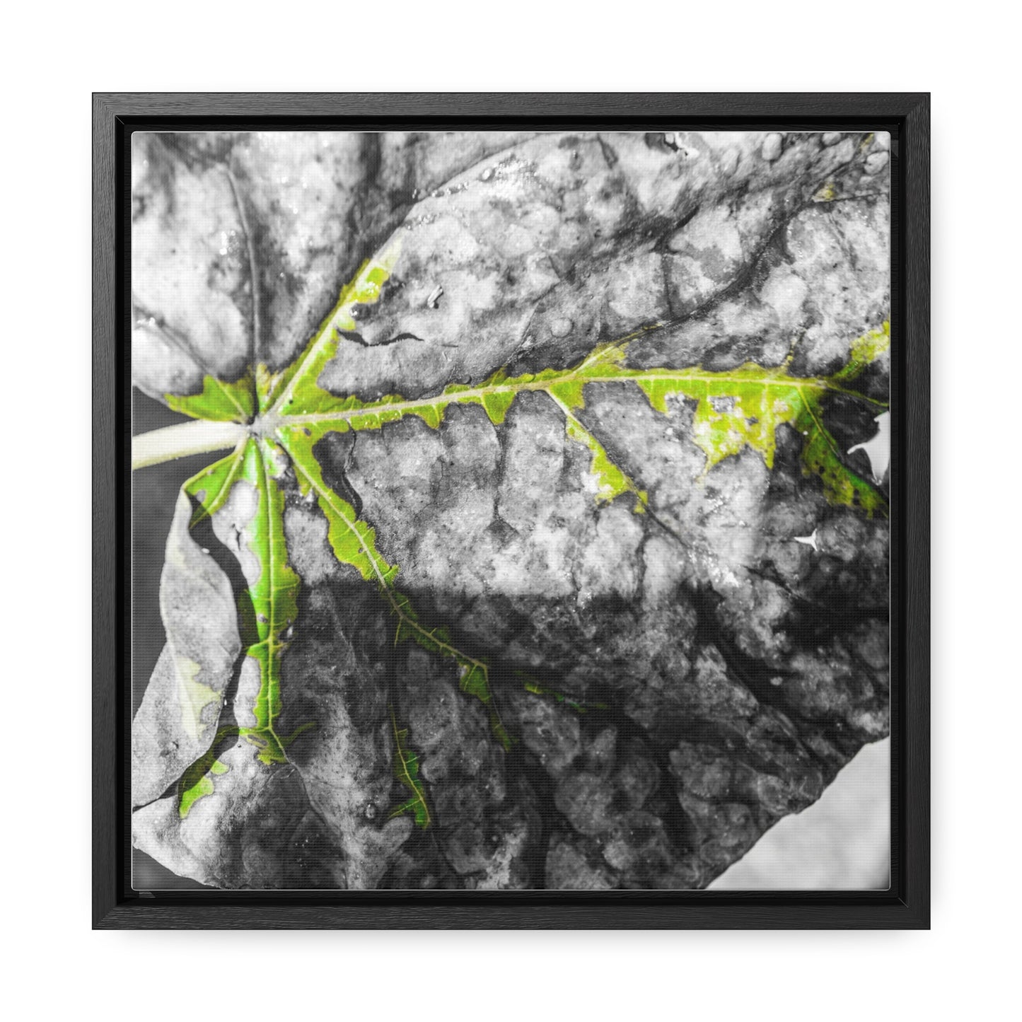 Sloss Furnaces: Fallen Leaf - Canvas Print