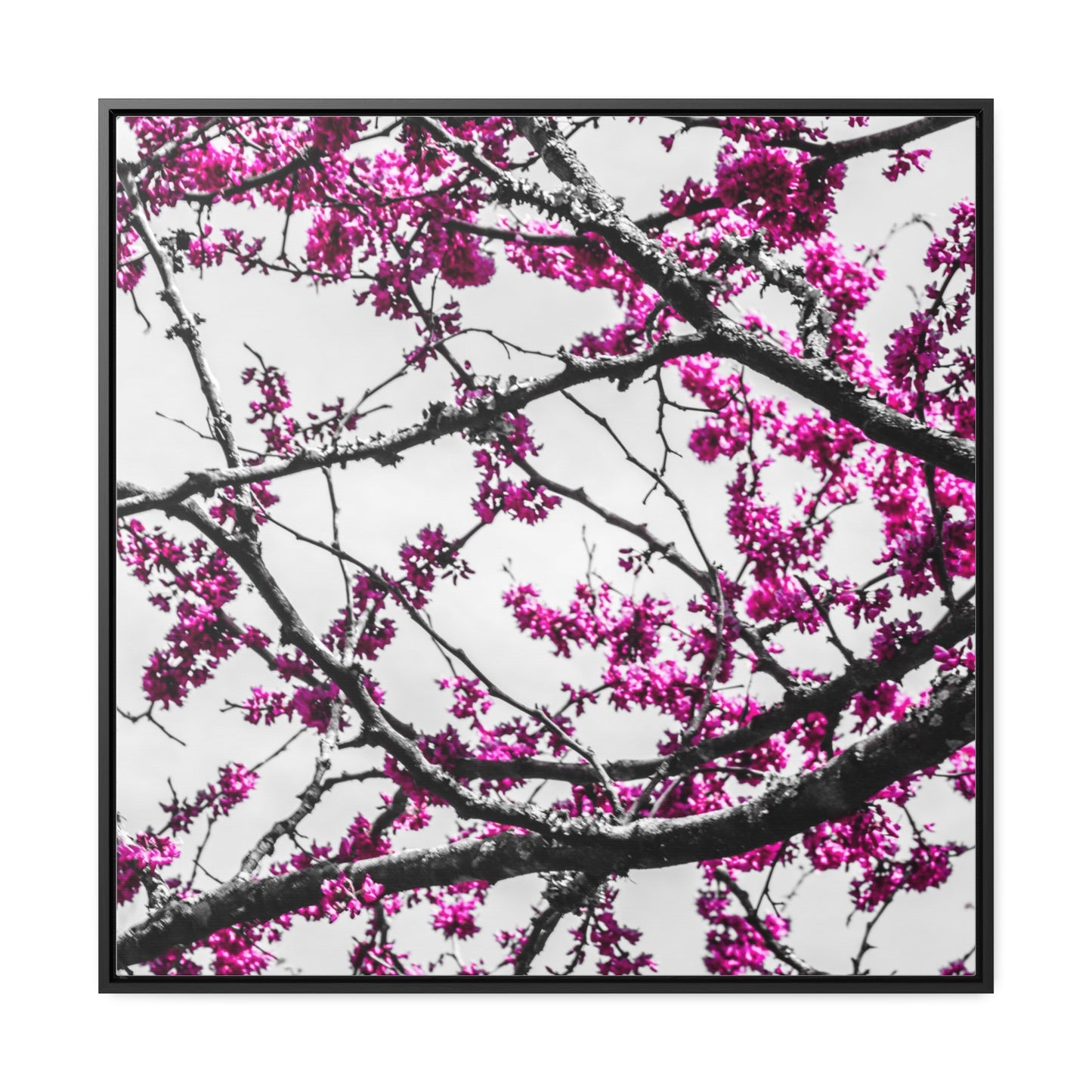 Cheekwood Gardens Land of Purple Home Décor