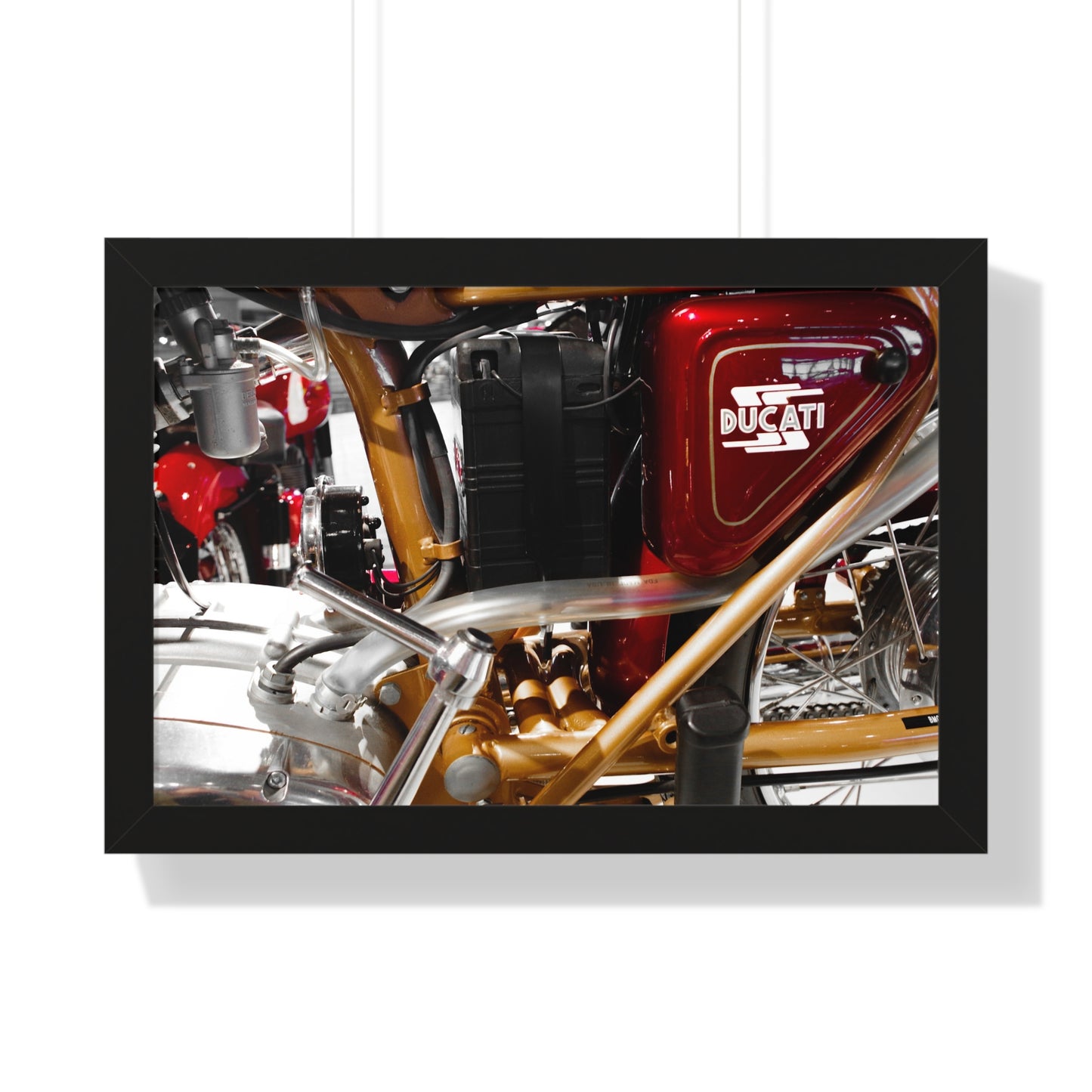 Ducati Motorcycle Photography Wall Art