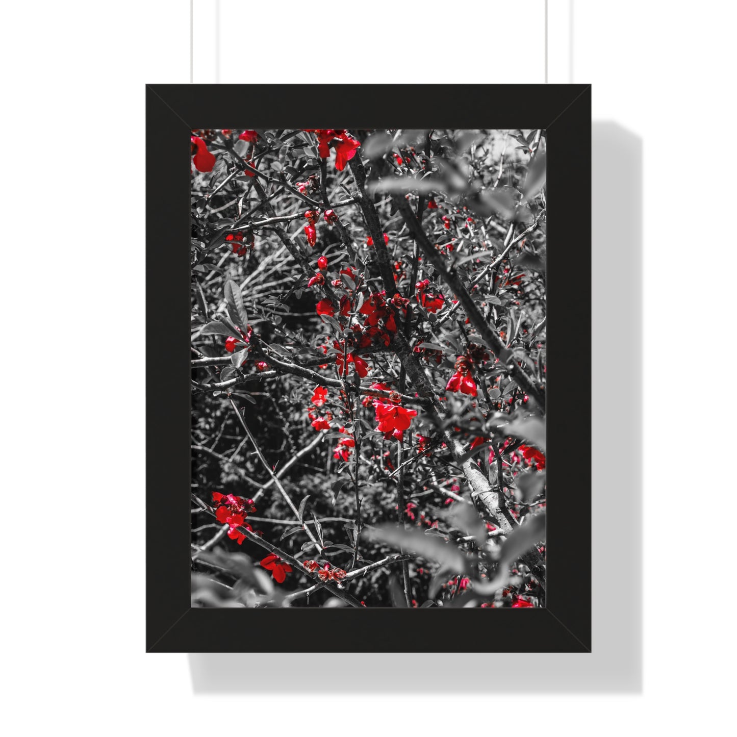 Vertical Poster - Cheekwood Gardens Red Floral Photography Print