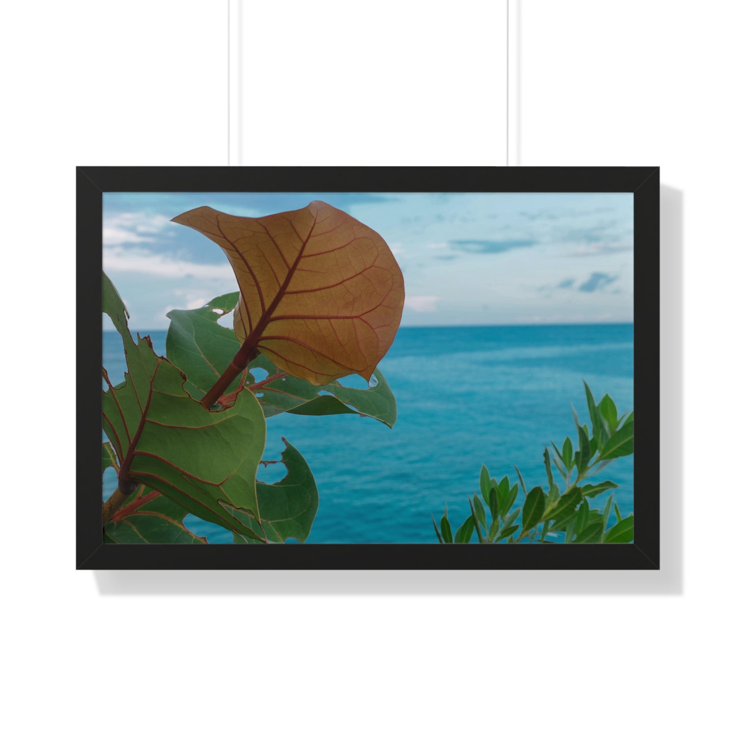 Lush Serenity: Tropical Plant at The Caves, Jamaica - Framed Photography Print