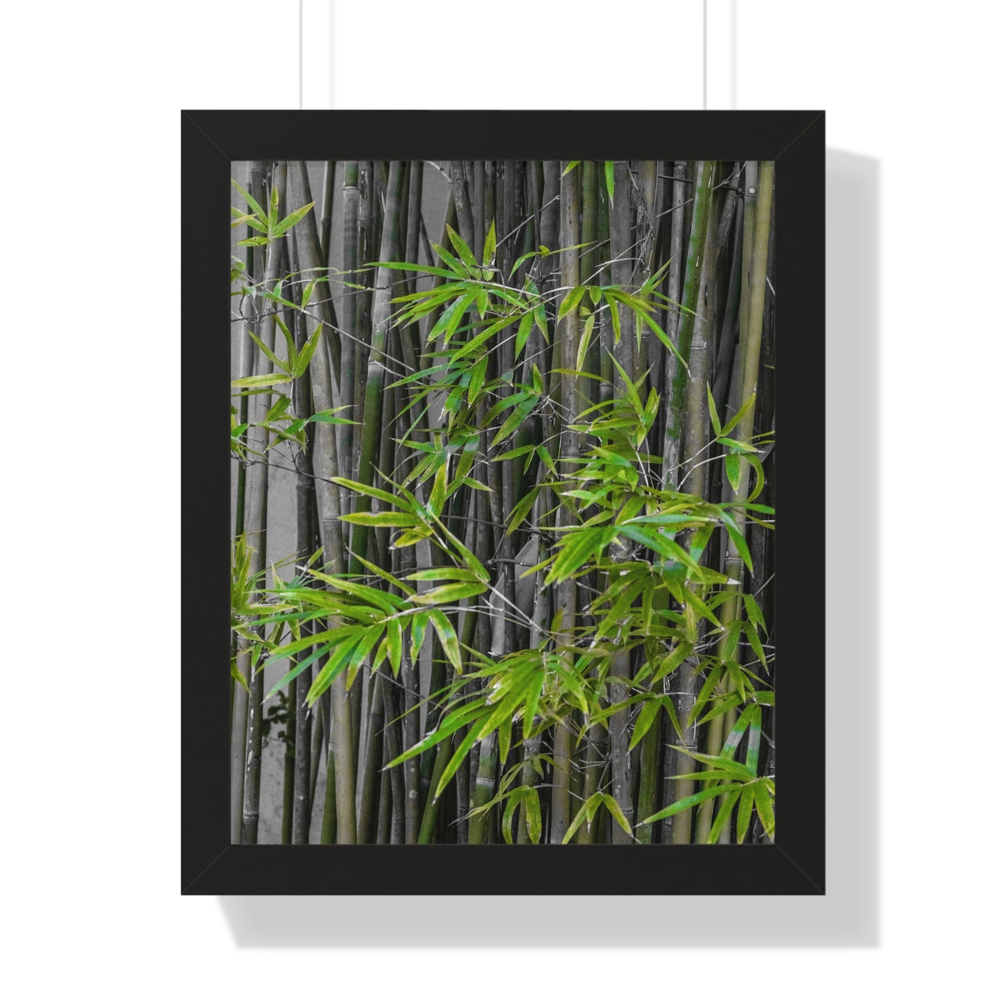 Lush Bamboo Grove Photography Print